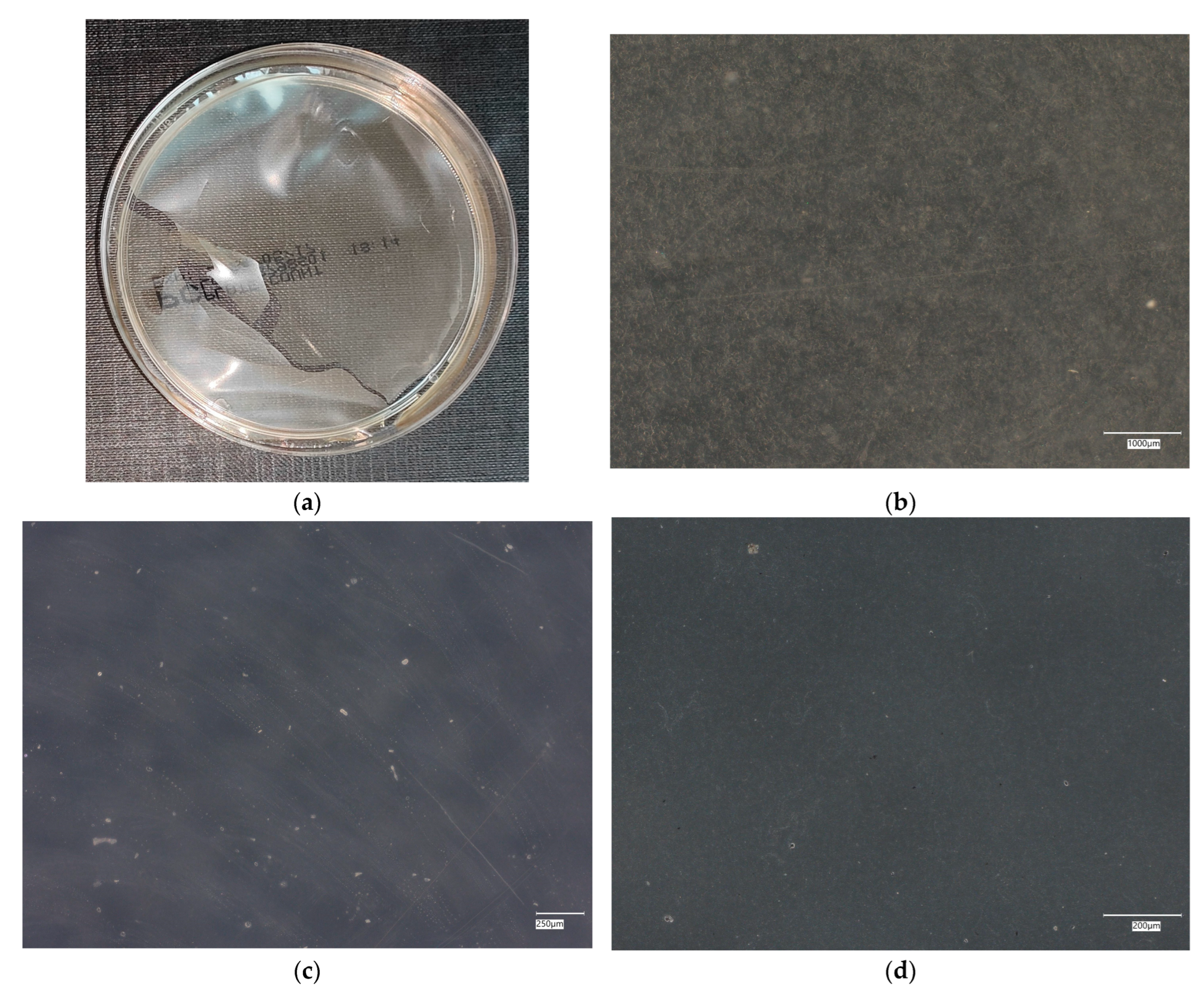 Materials 18 02560 g006