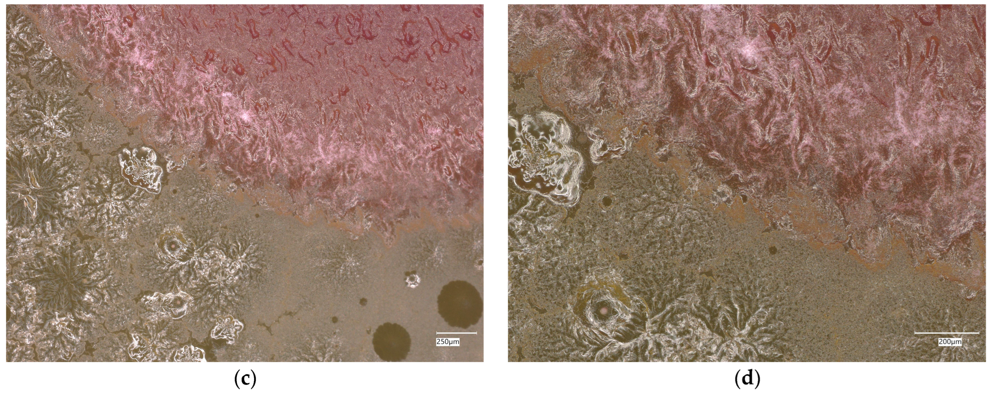 Materials 18 02560 g023b