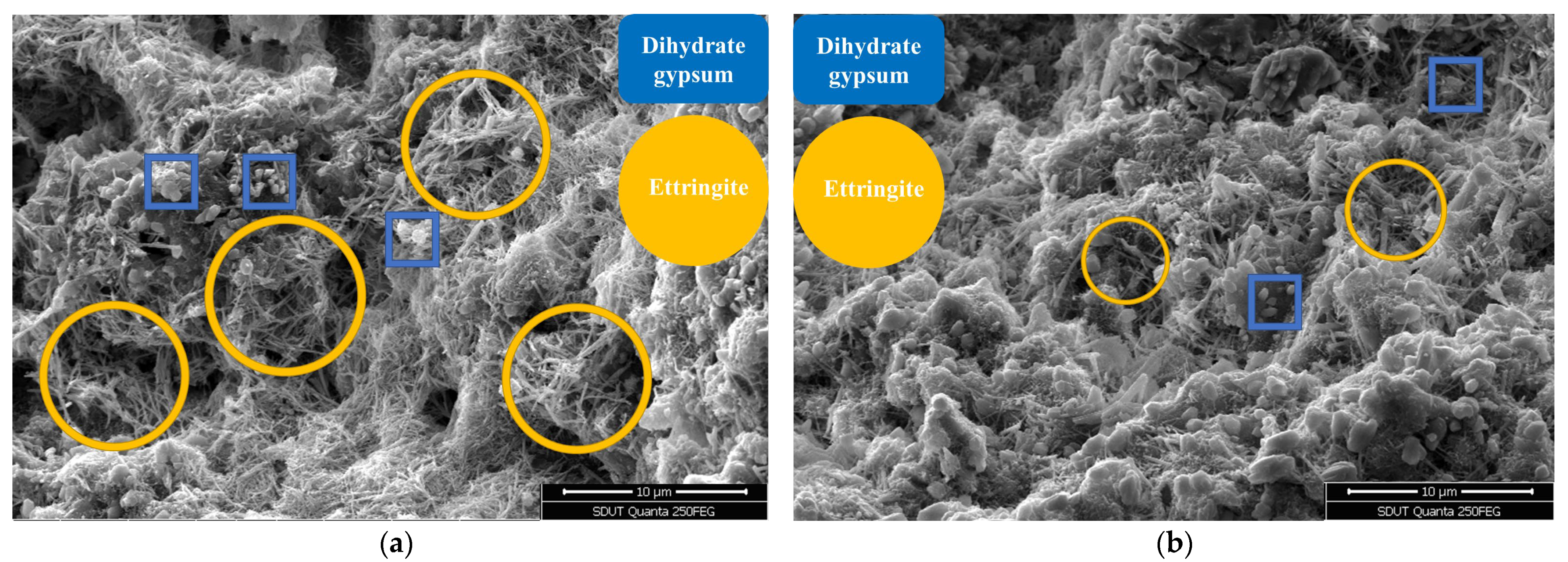 Materials 18 02569 g010