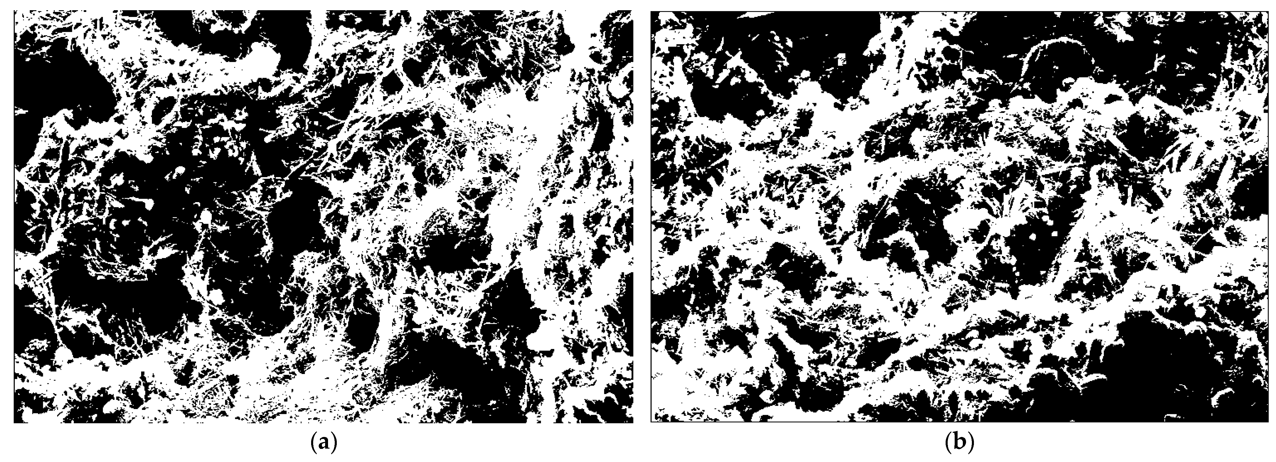 Materials 18 02569 g012