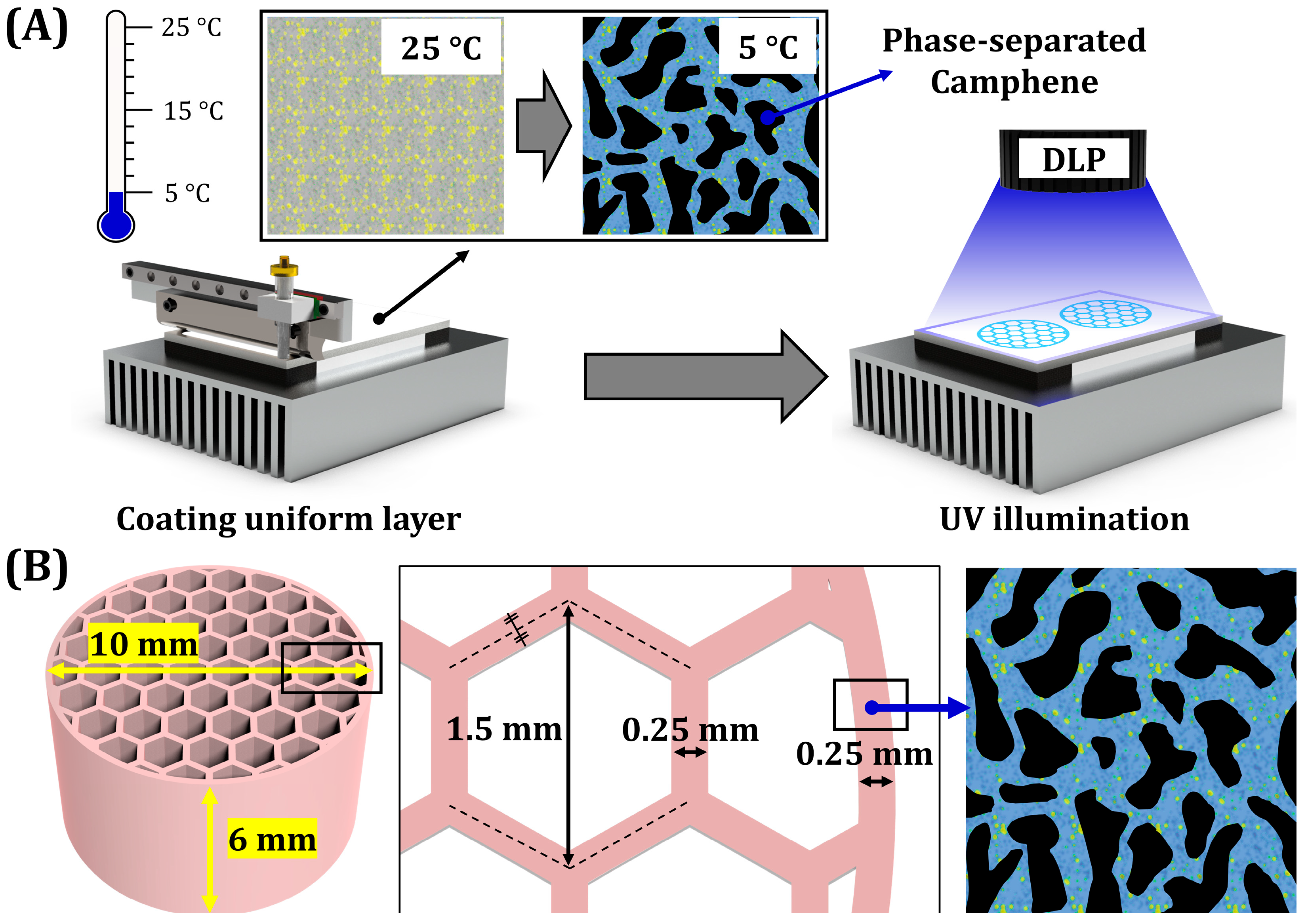 Materials 18 02587 g001