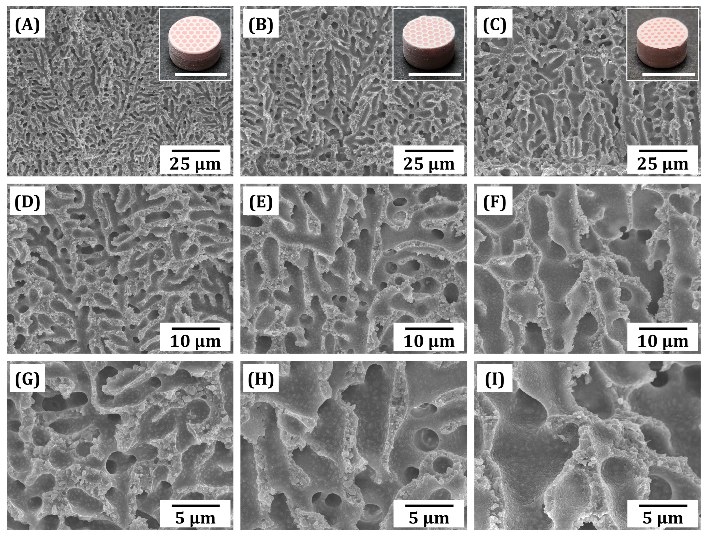 Materials 18 02587 g006