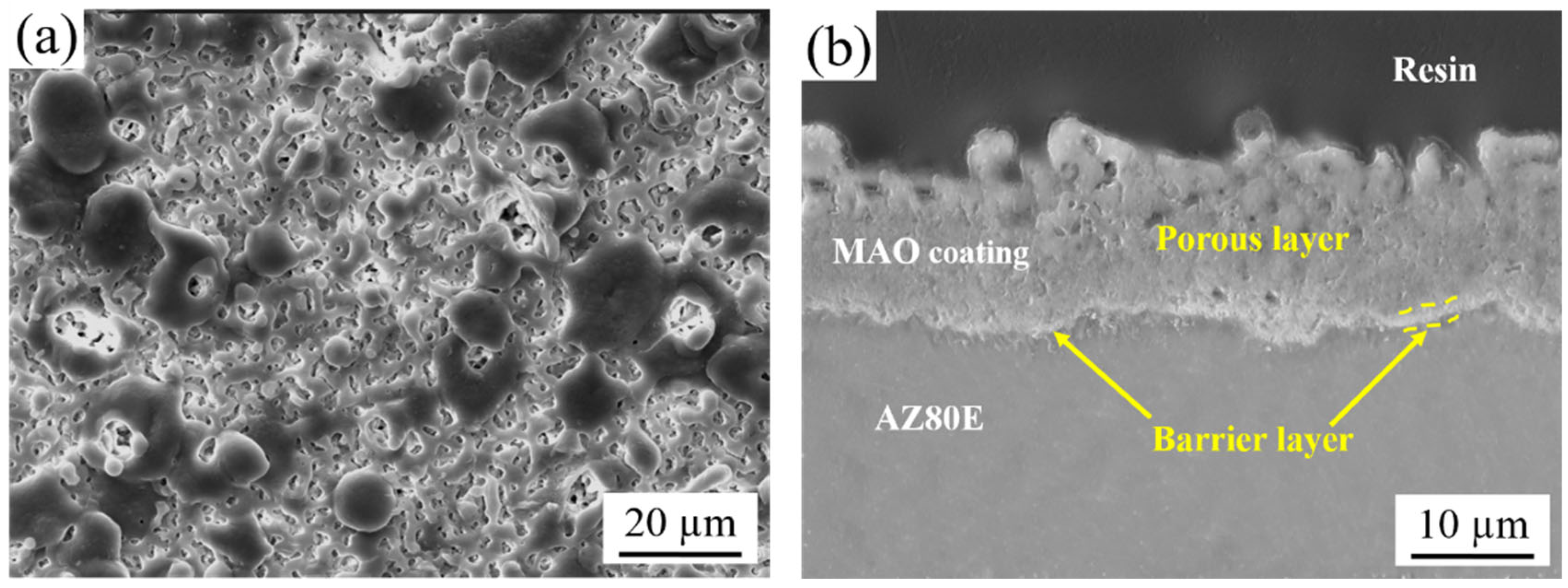 Materials 18 02590 g006