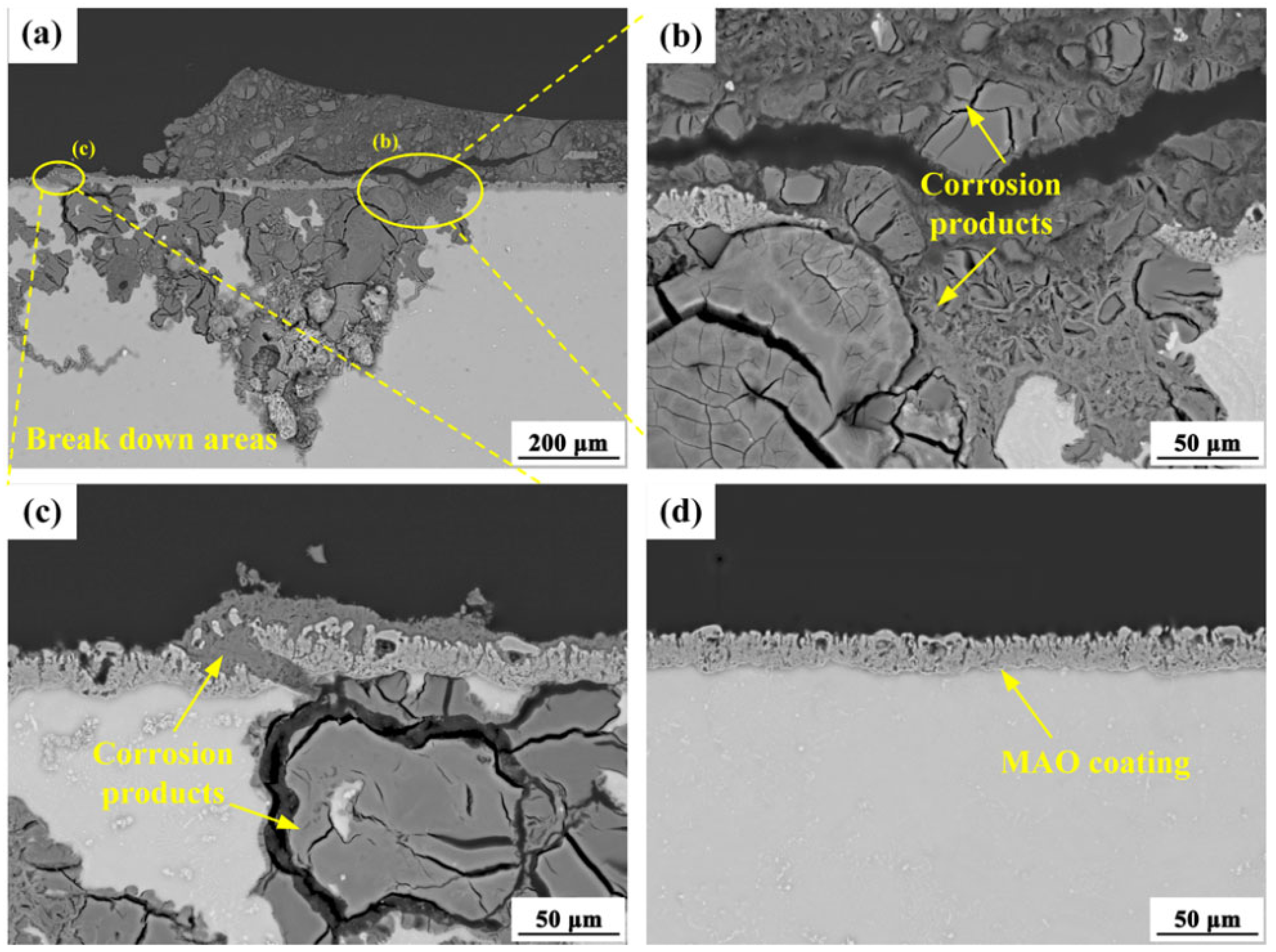 Materials 18 02590 g010