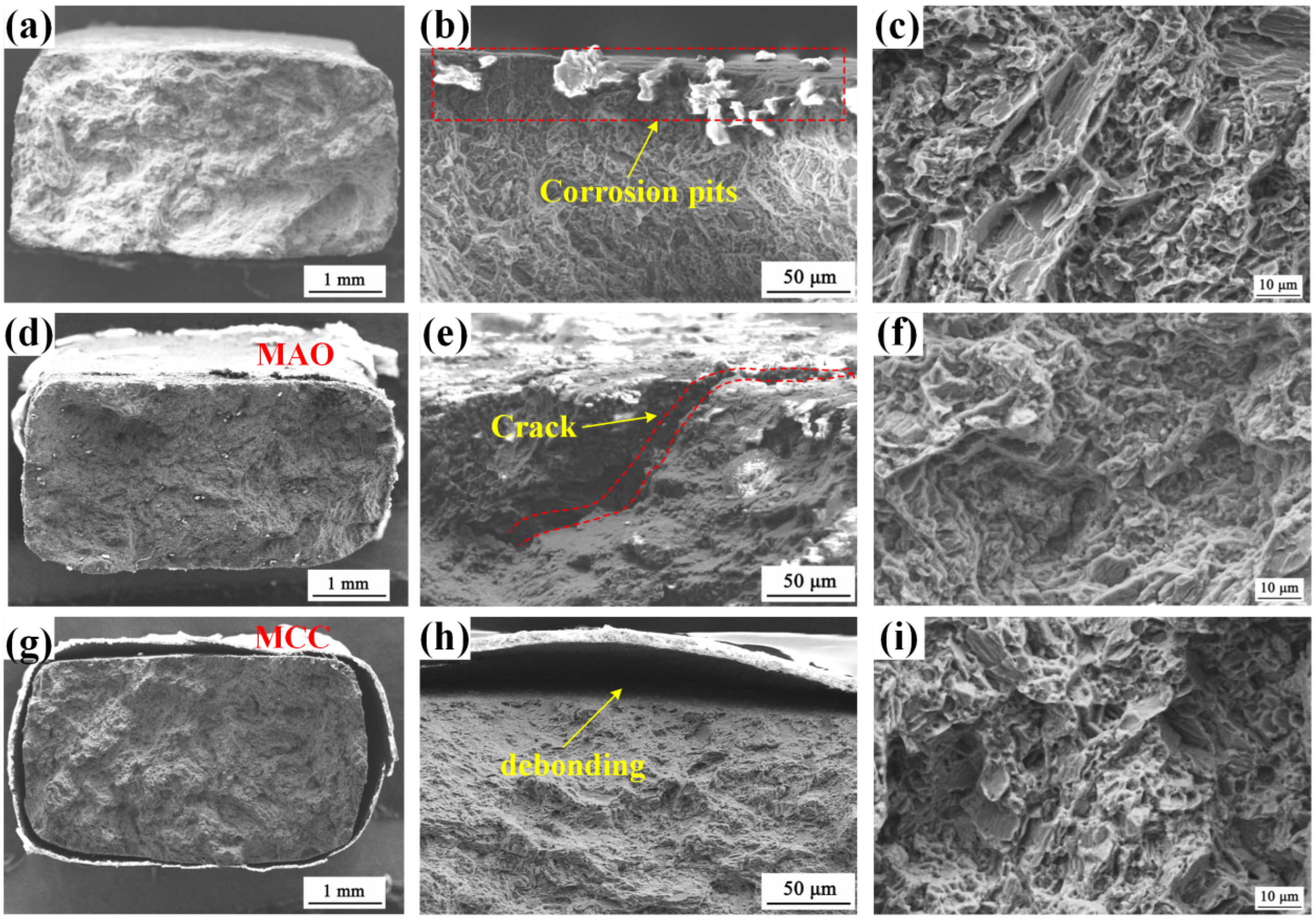 Materials 18 02590 g014