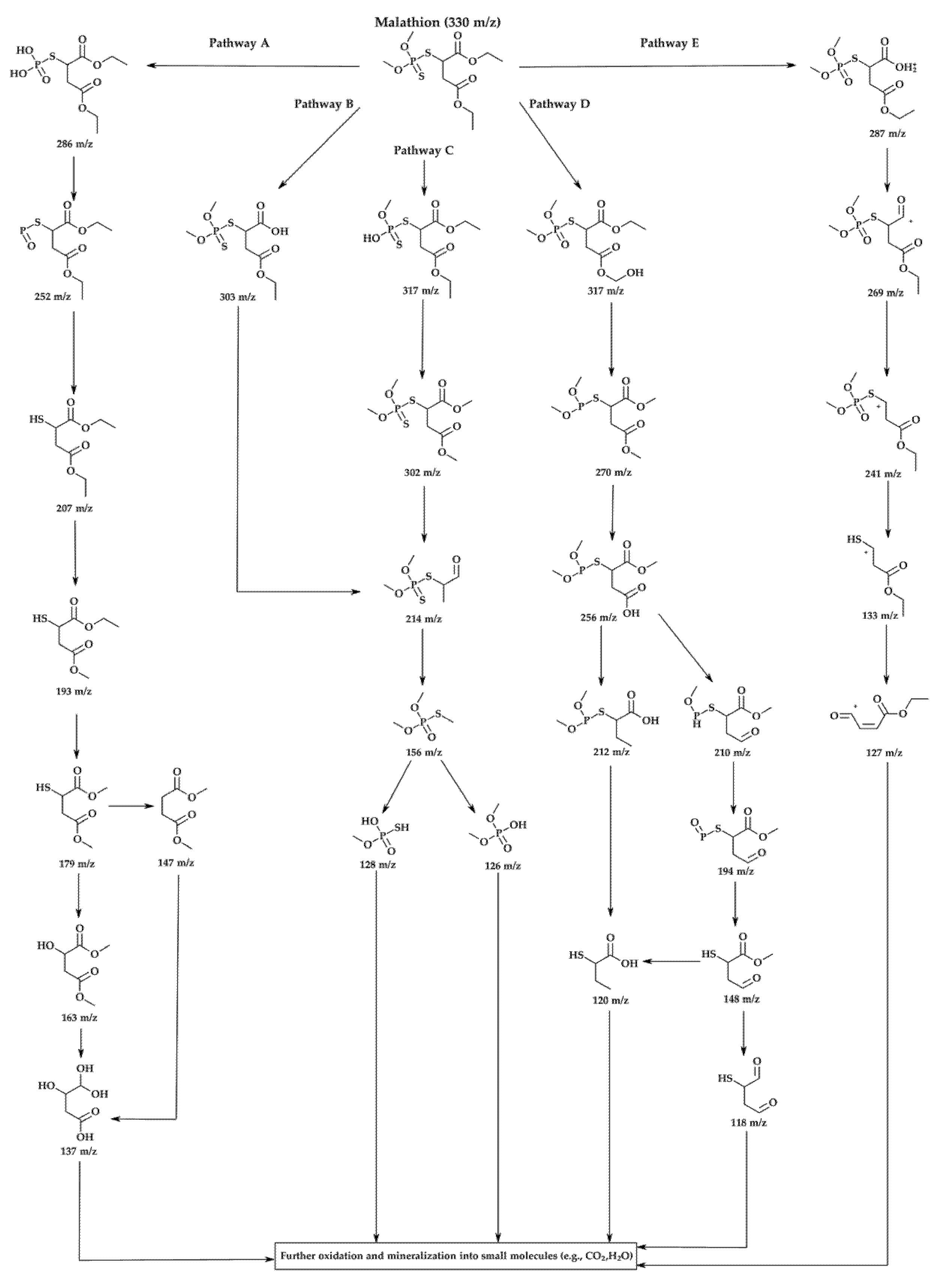 Materials 18 02602 g009