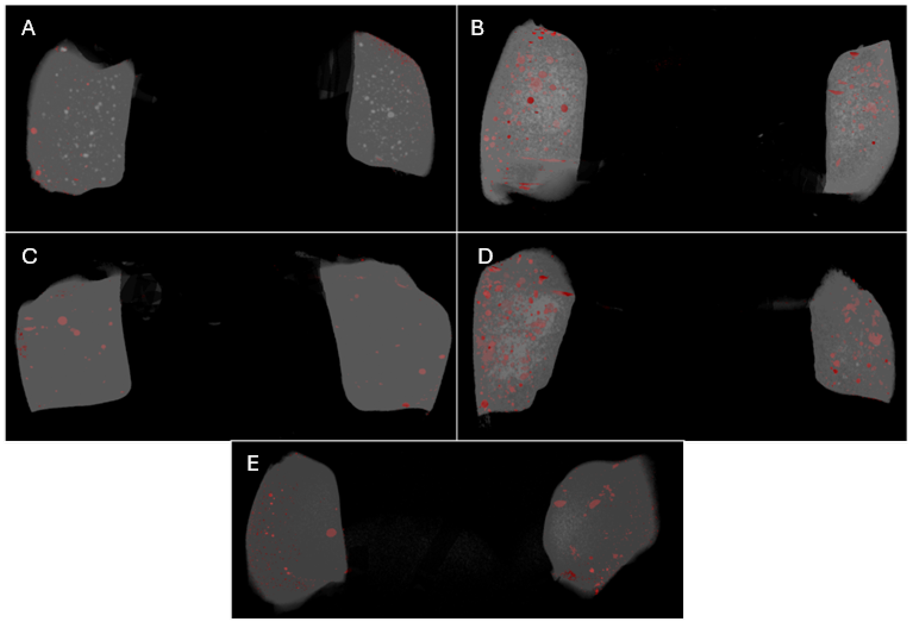 Materials 18 02621 g003