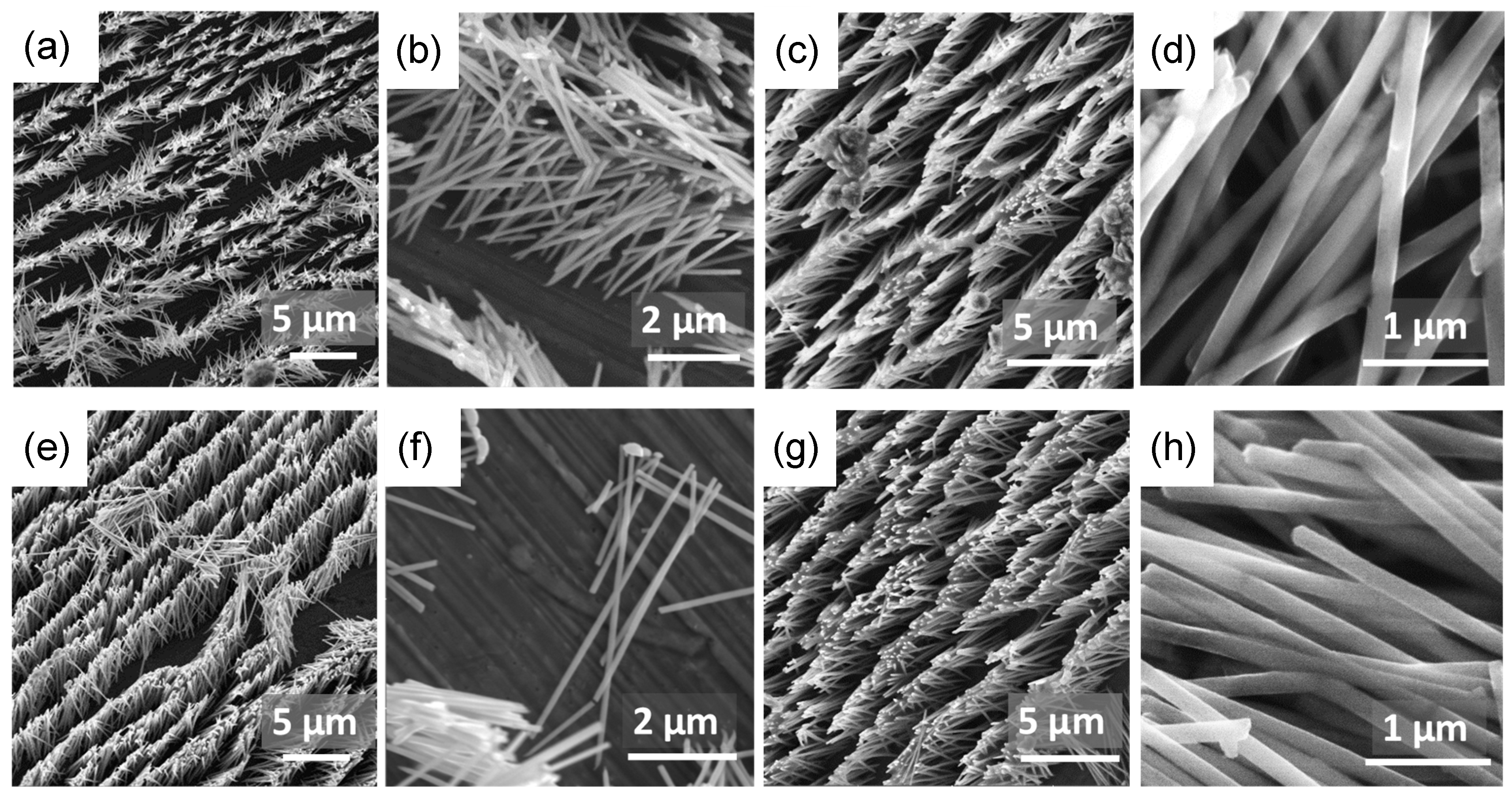 Materials 18 02629 g003