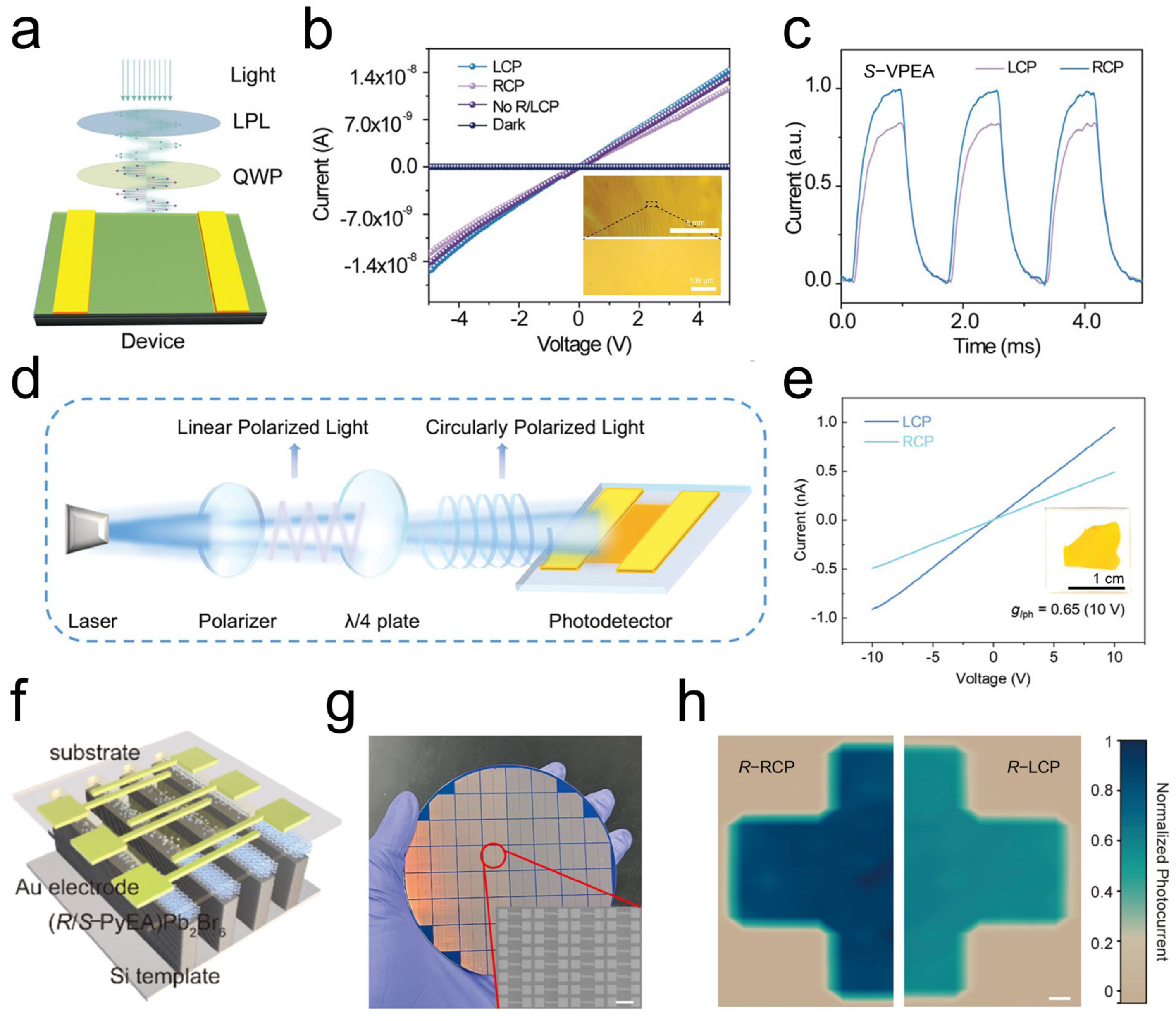 Materials 18 02635 g006