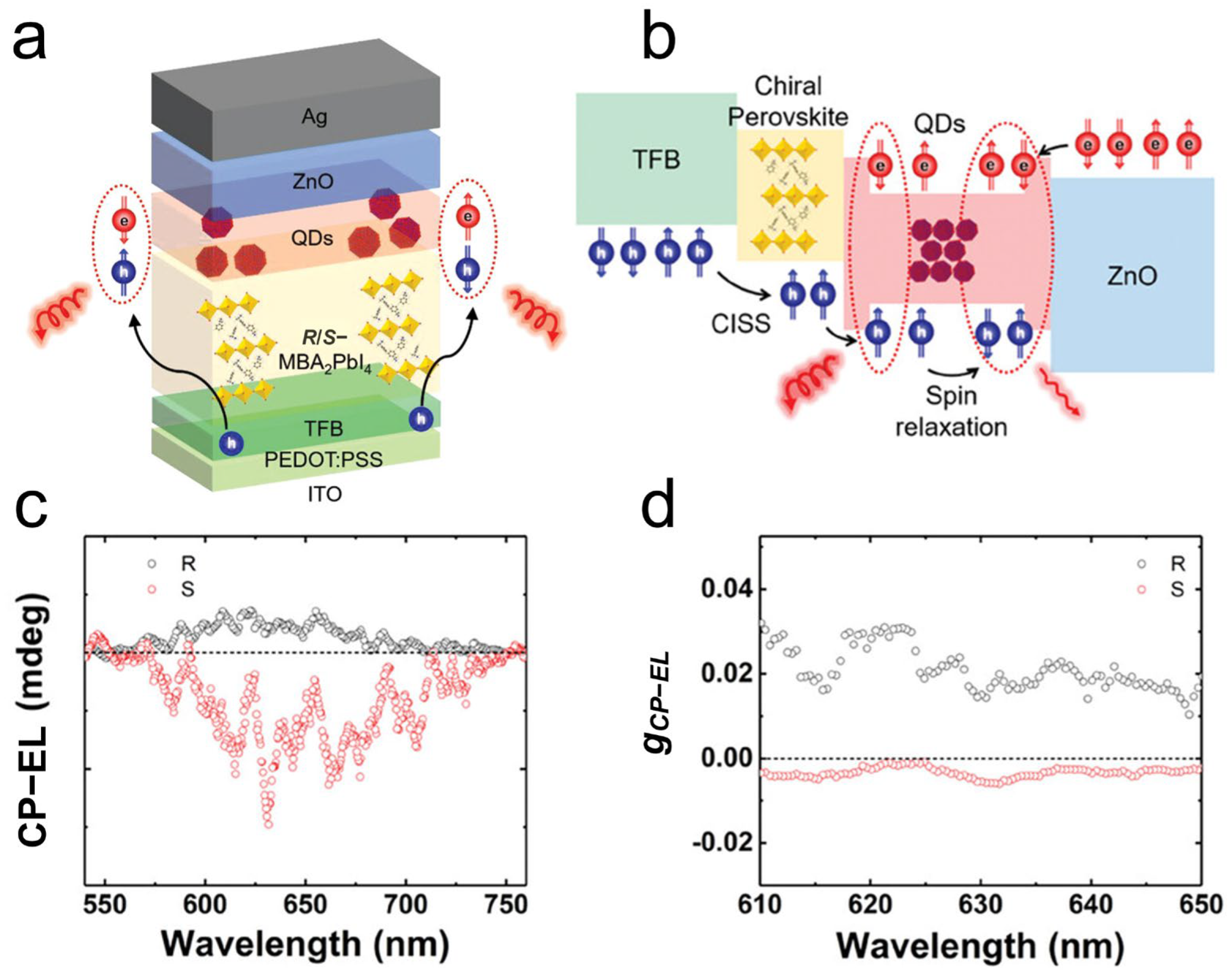 Materials 18 02635 g008