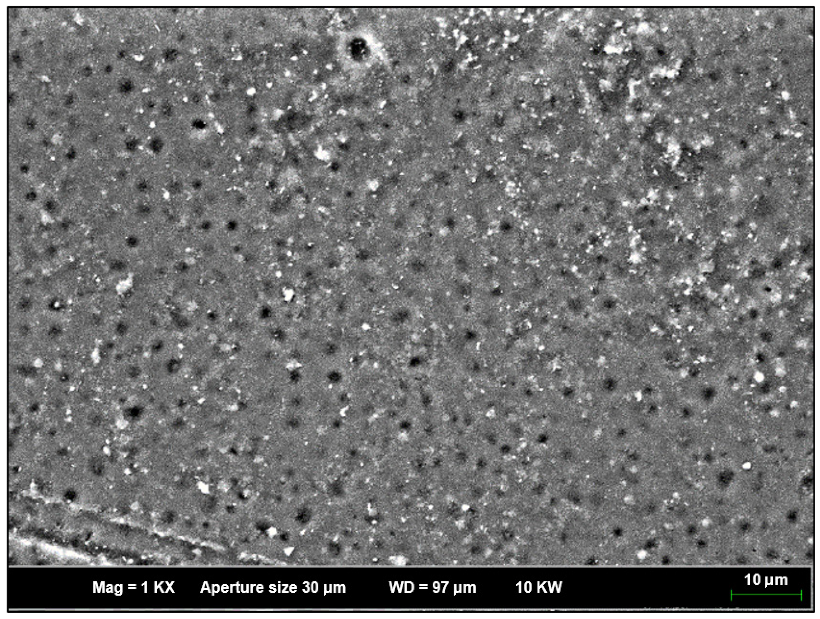 Materials 18 02645 g013