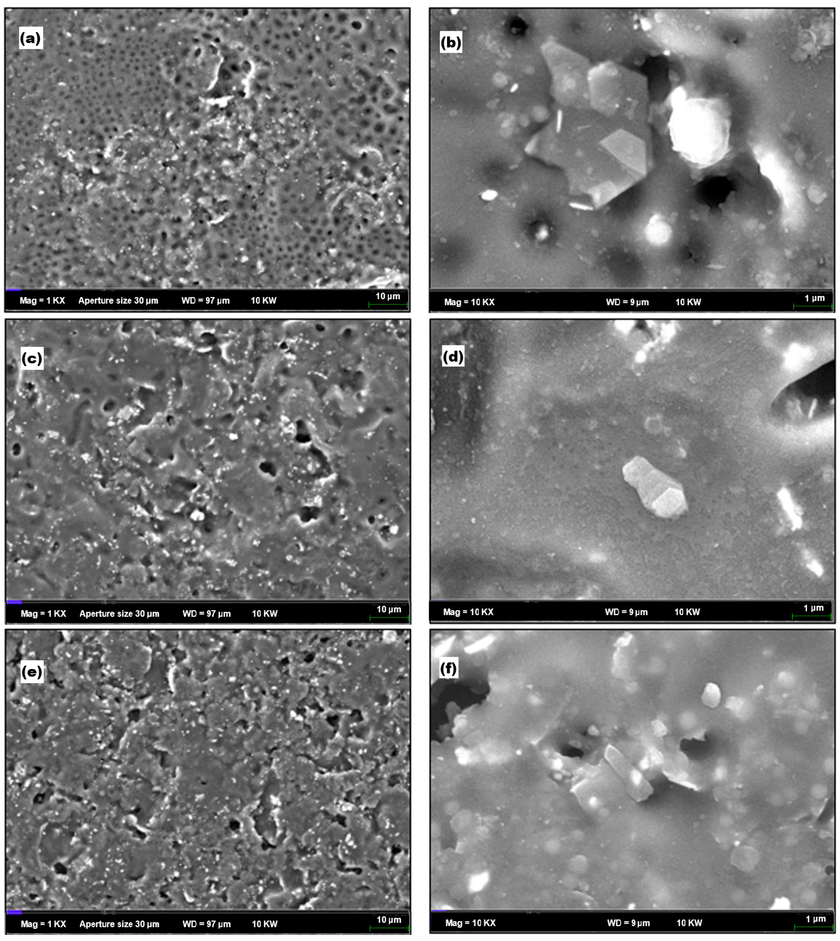 Materials 18 02645 g014