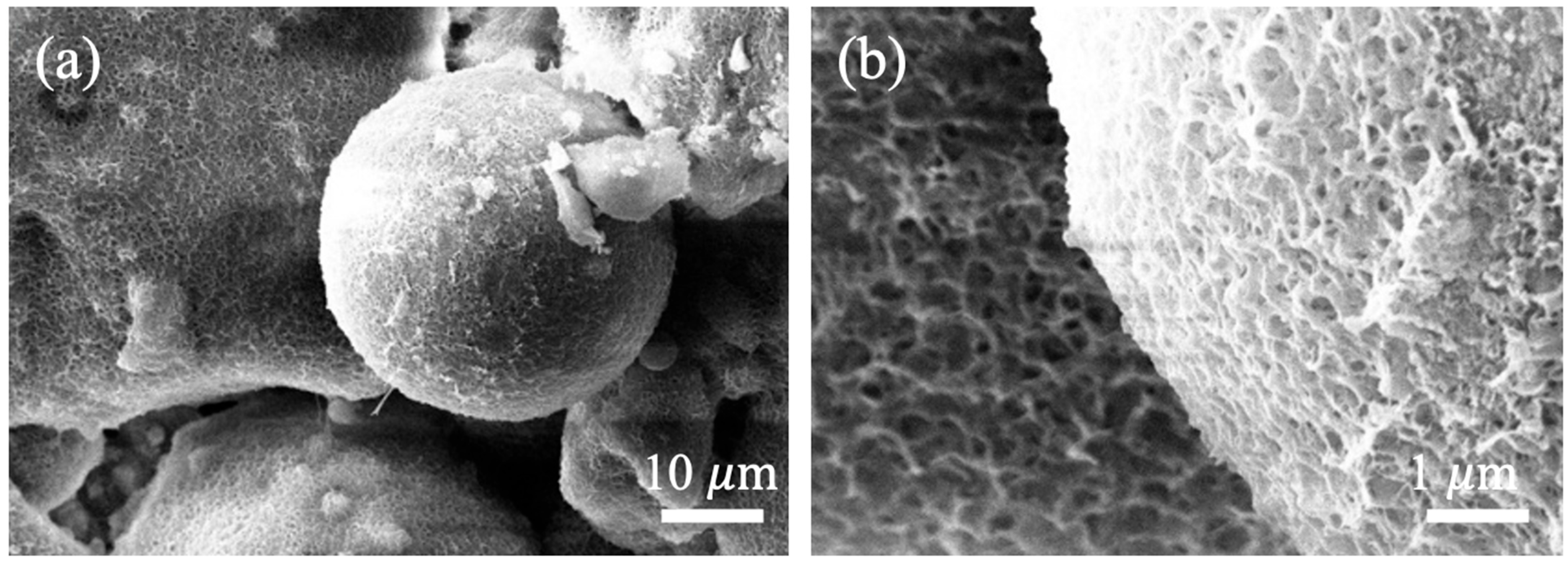 Materials 18 02651 g007