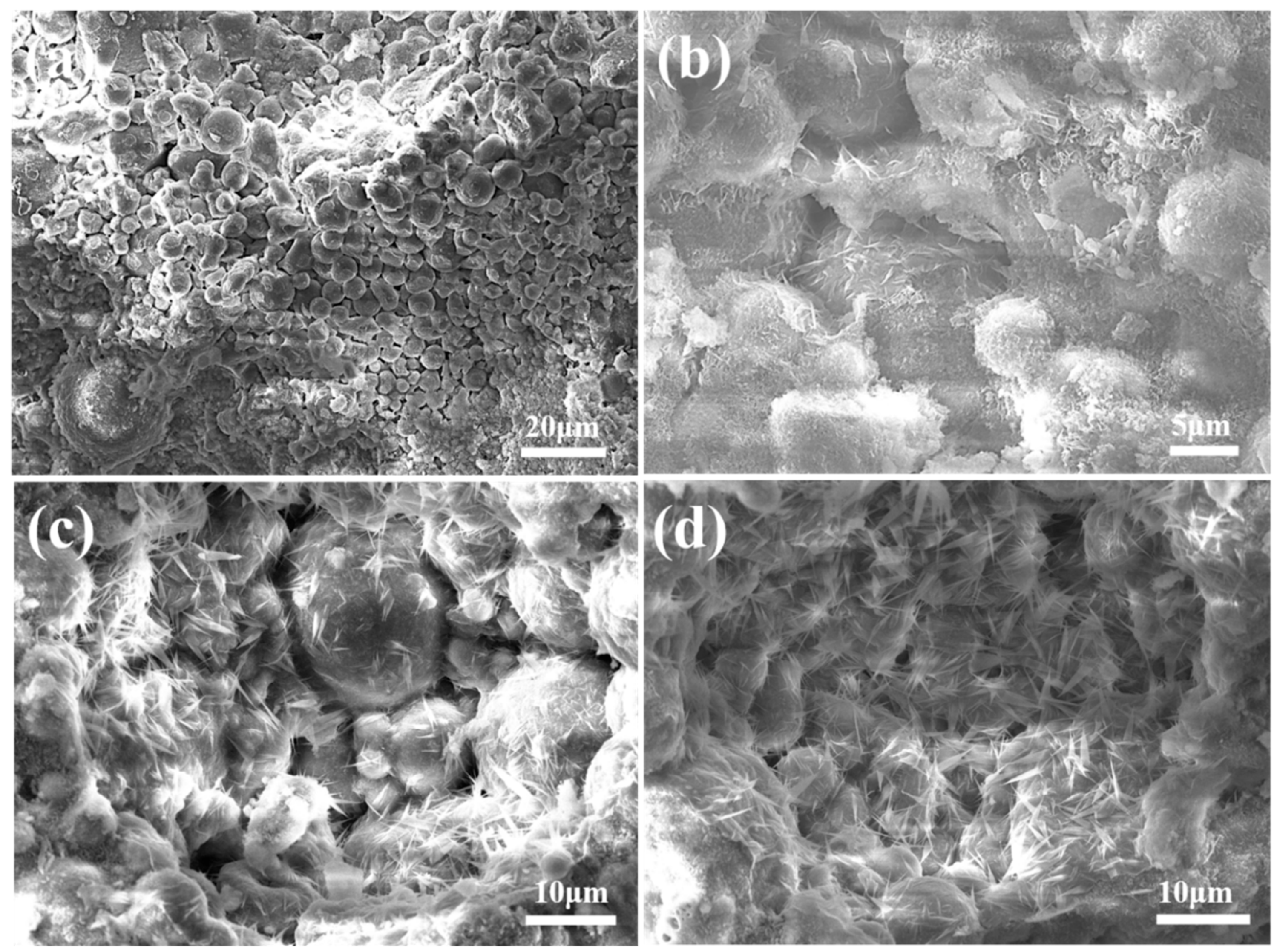 Materials 18 02651 g008