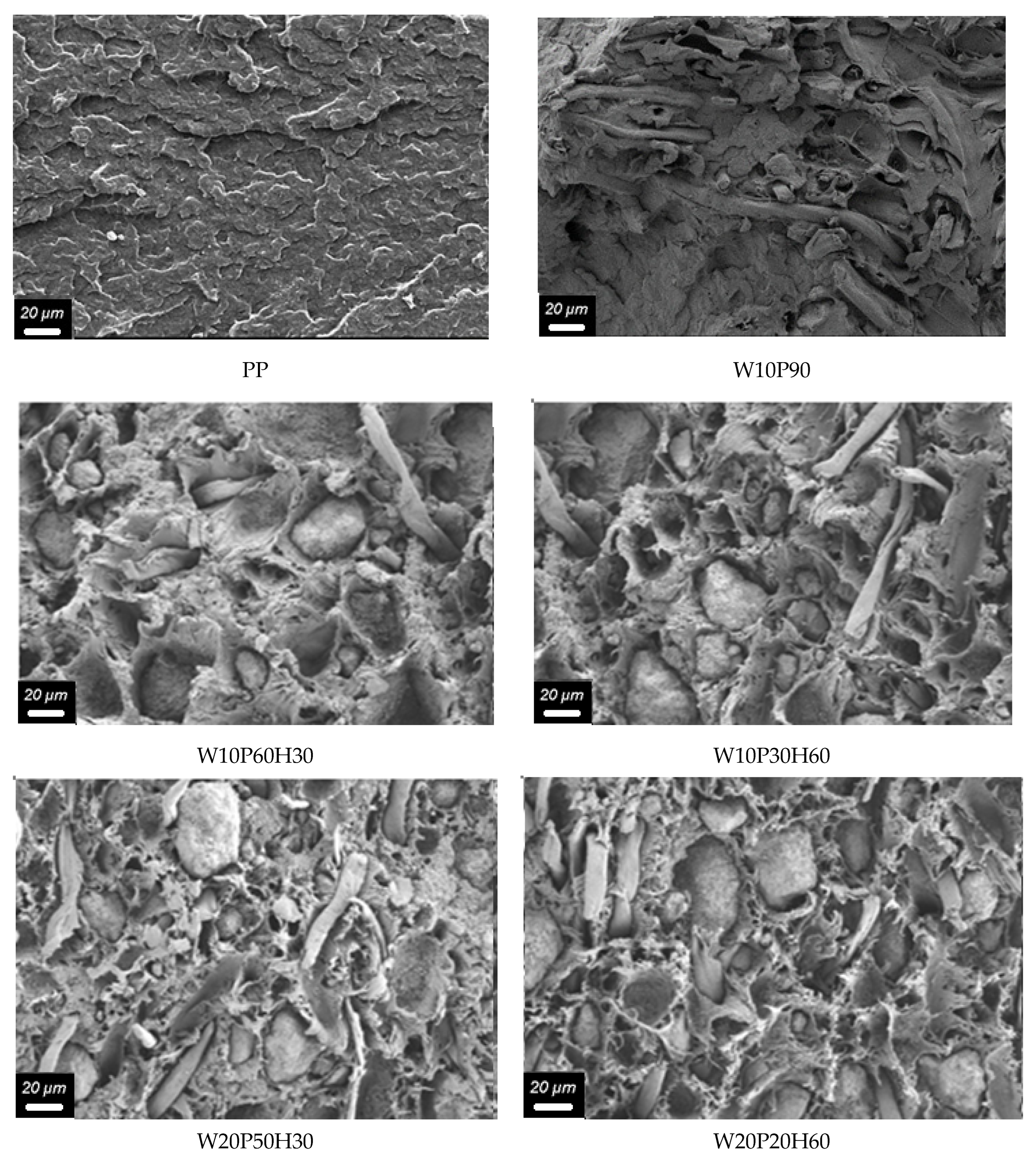 Materials 18 02652 g006