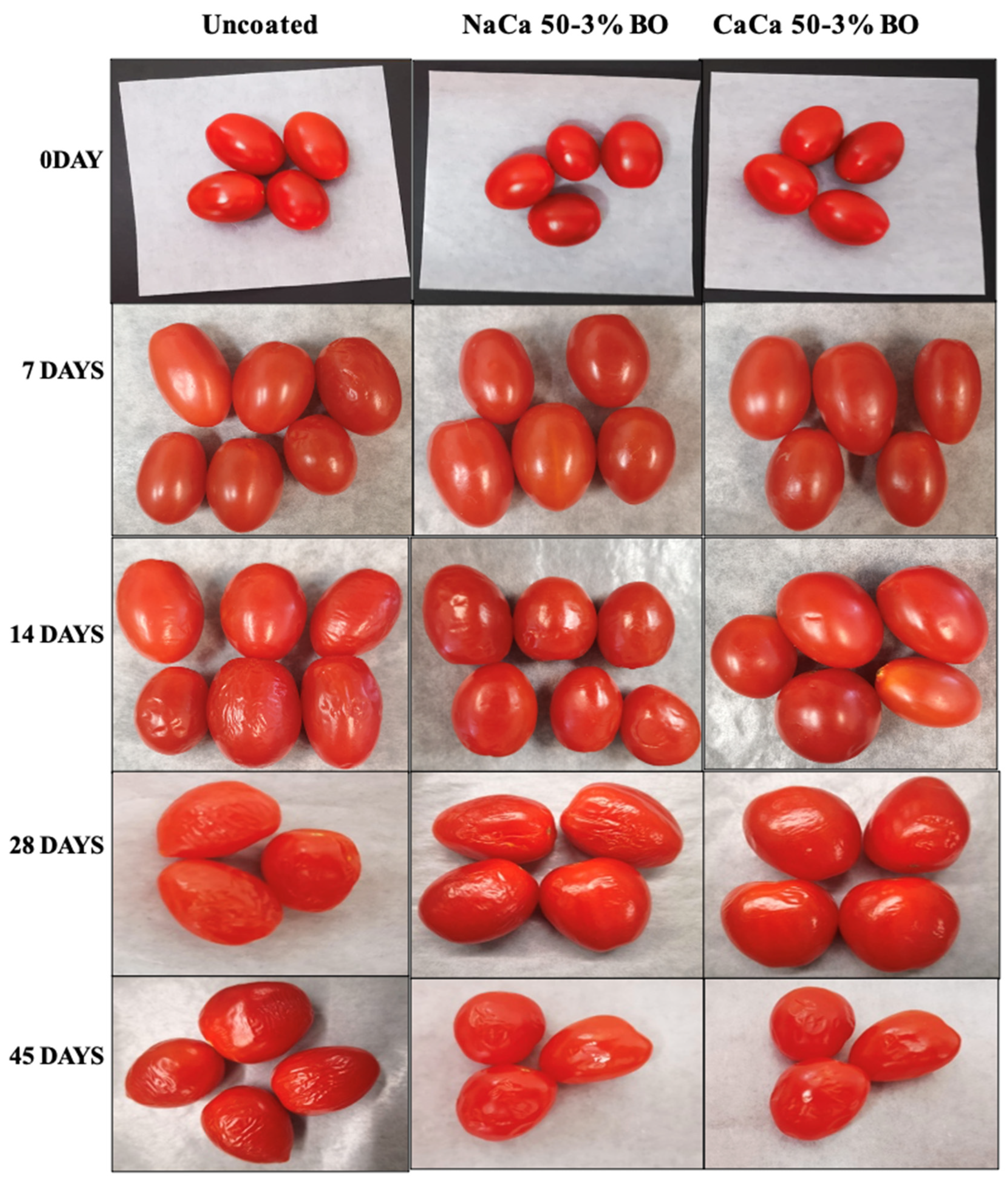 Materials 18 02653 g010