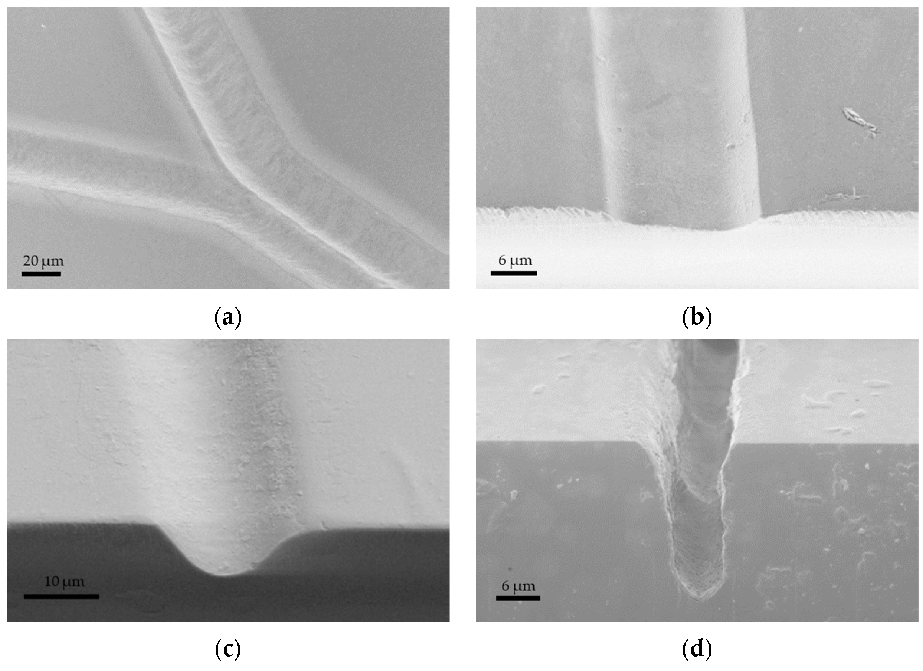 Materials 18 02657 g004