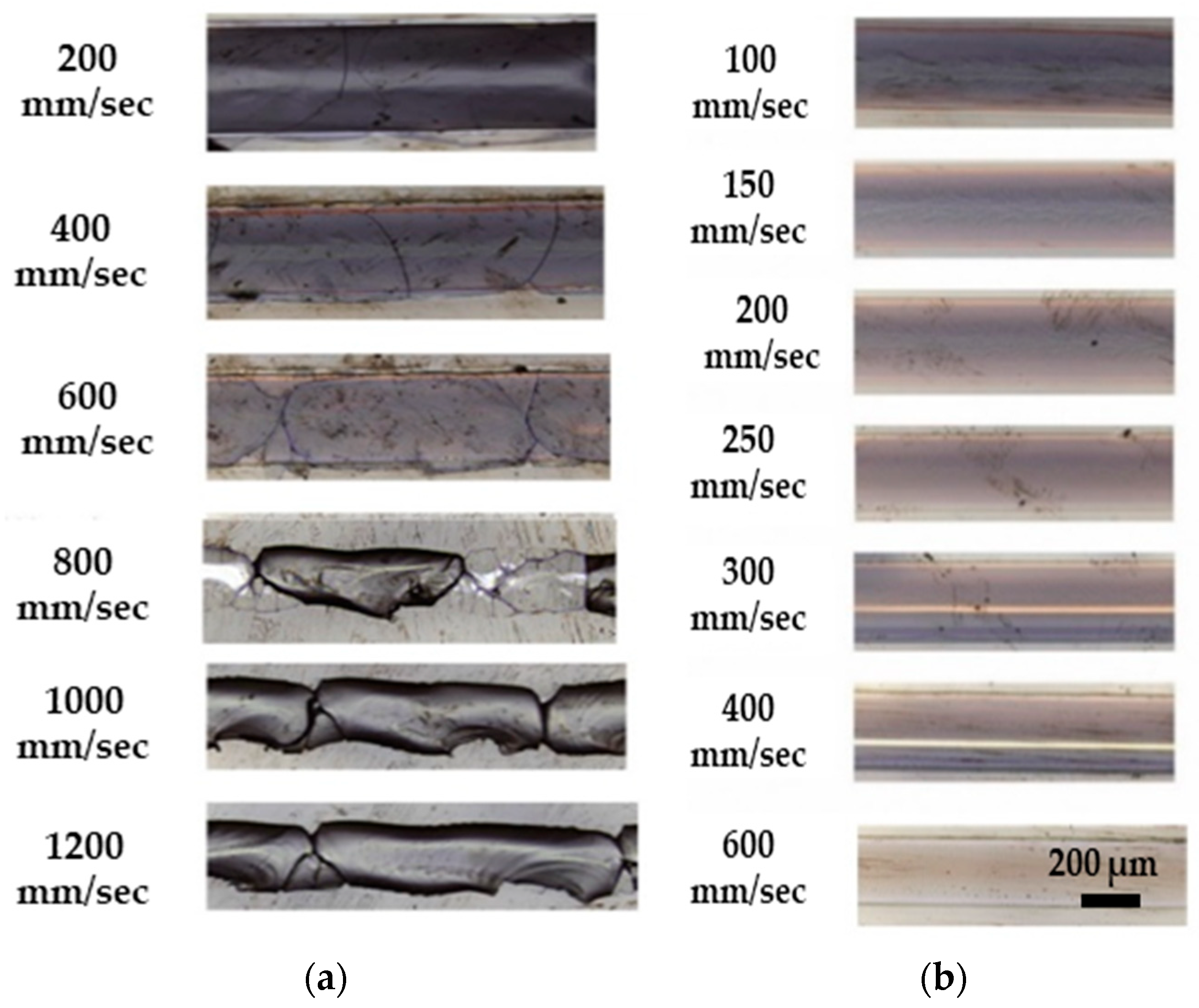 Materials 18 02657 g005