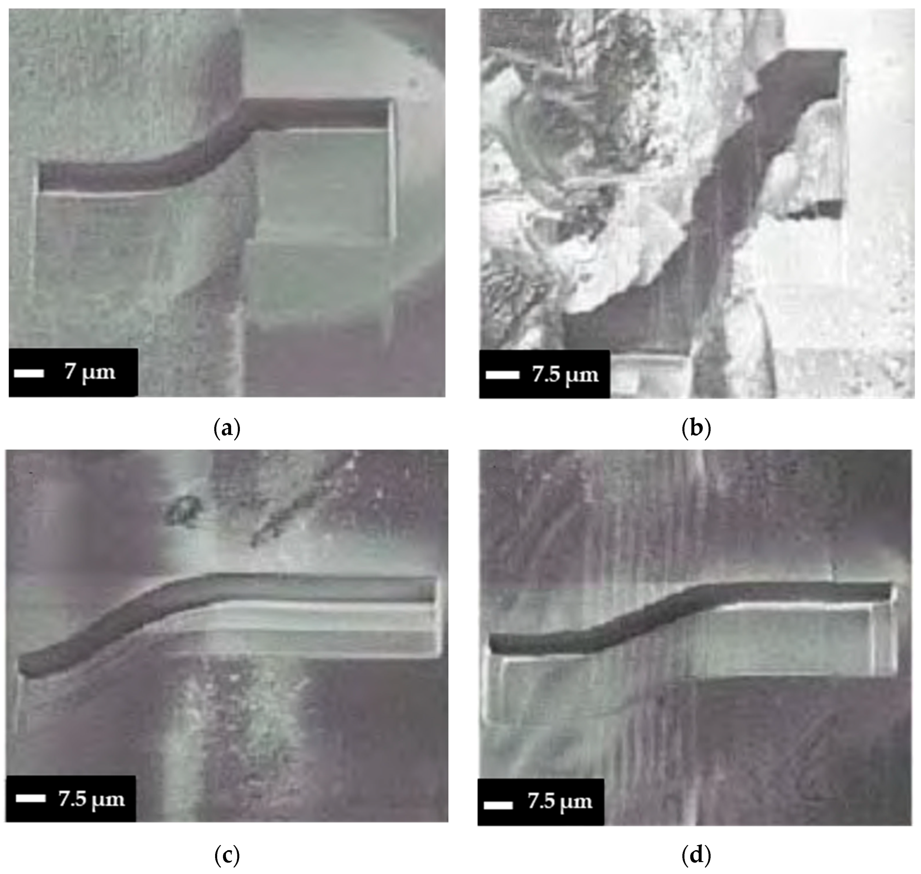 Materials 18 02657 g011