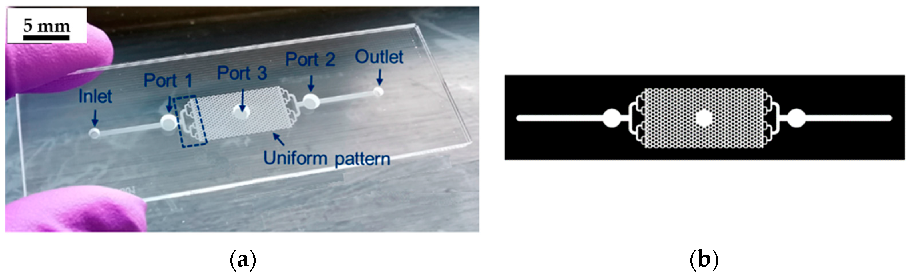 Materials 18 02657 g013