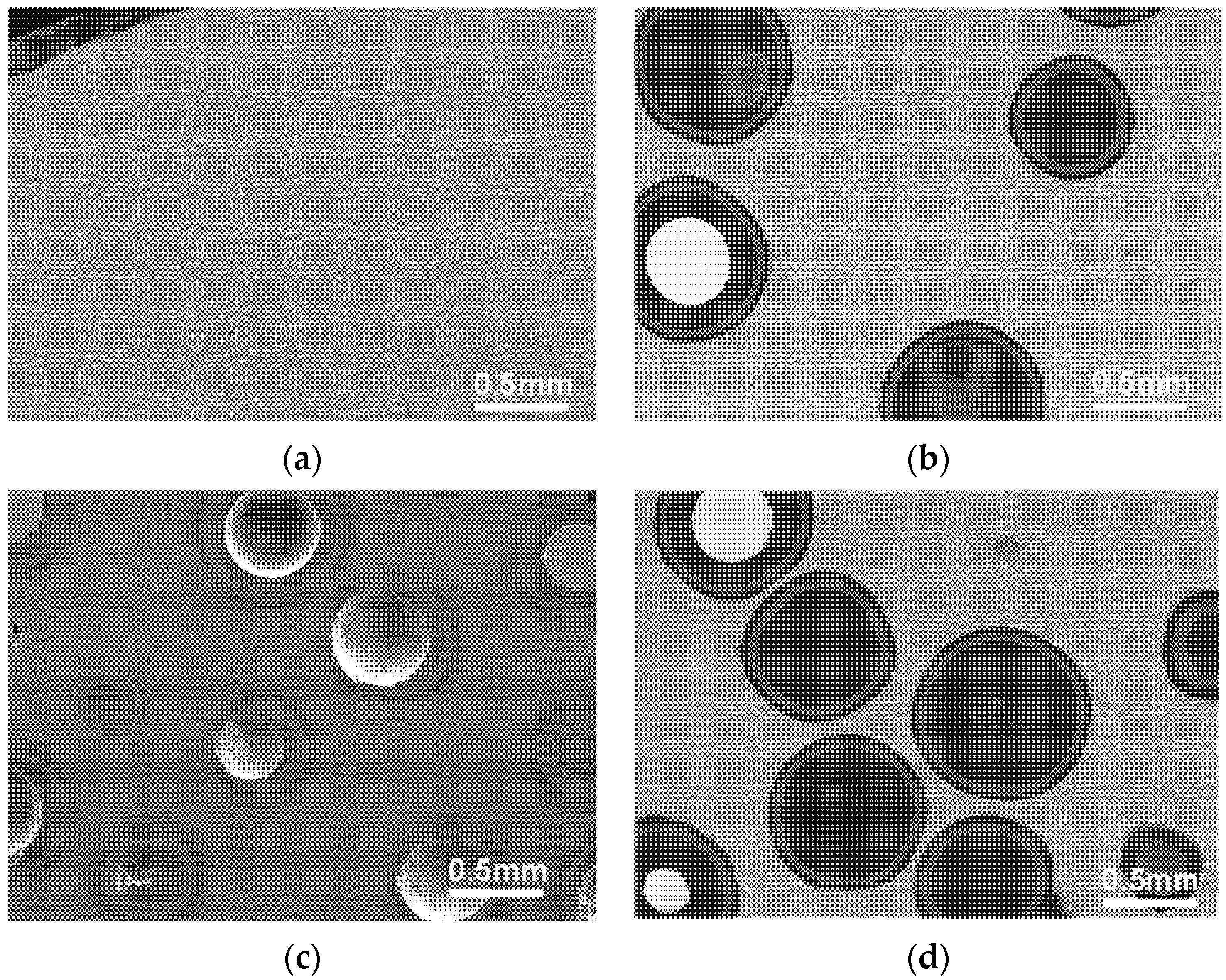 Materials 18 02659 g004