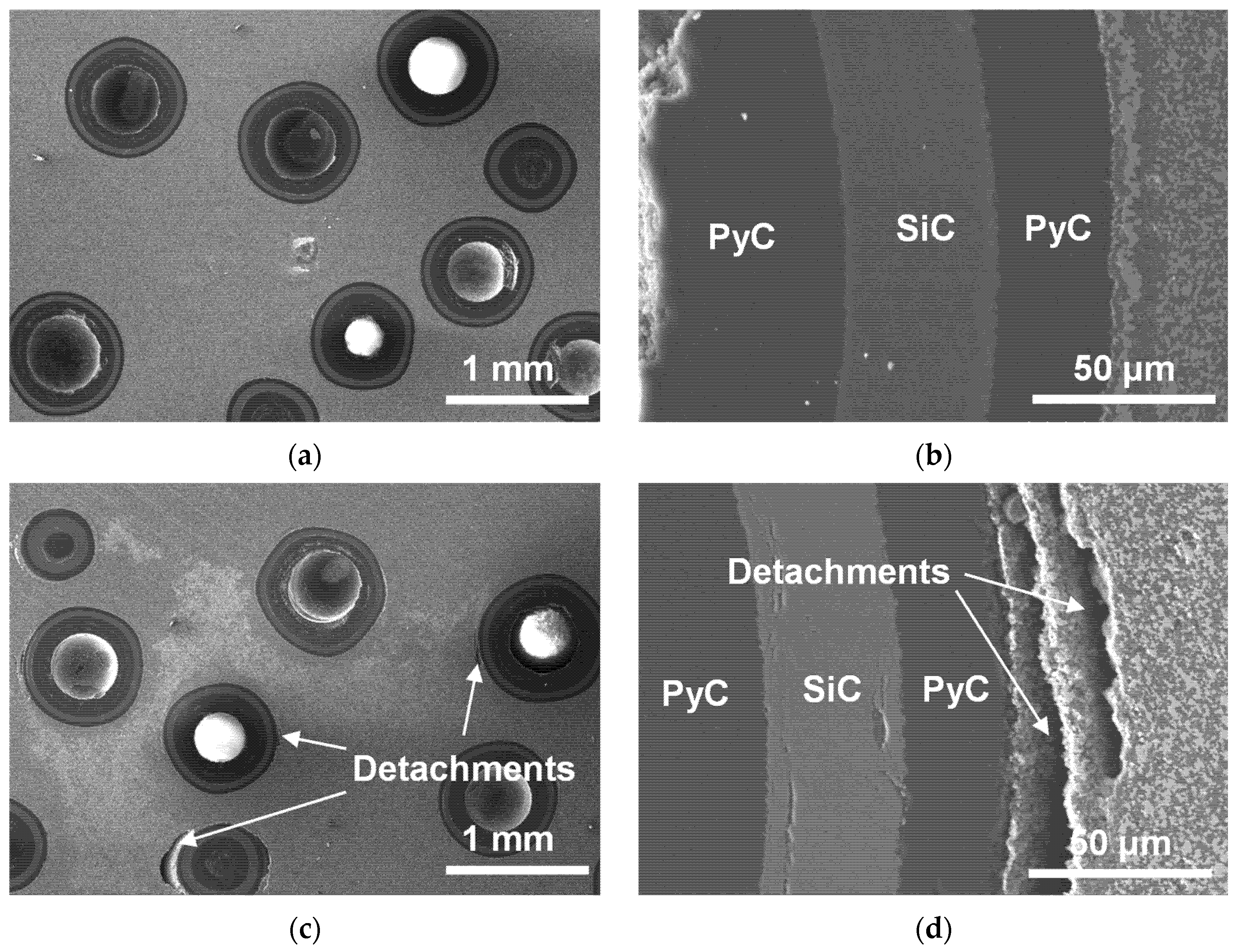 Materials 18 02659 g007