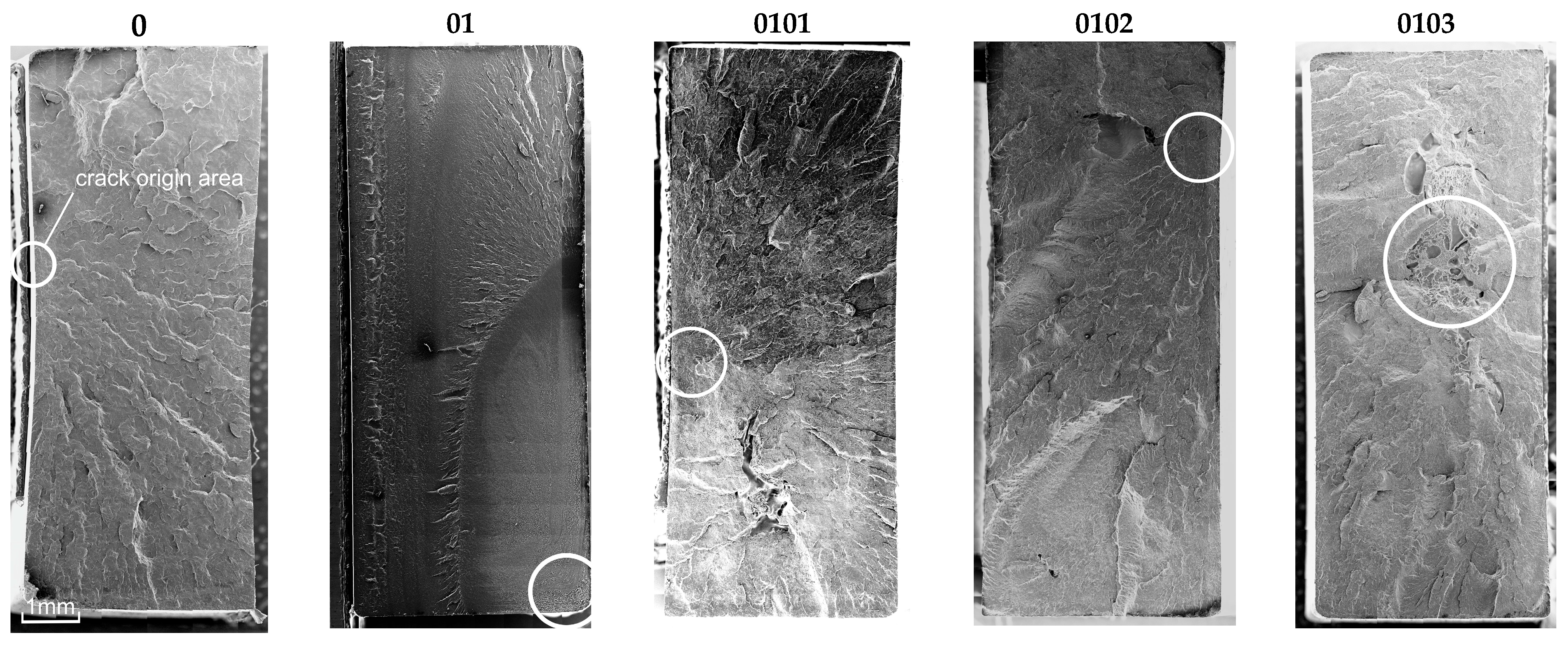 Materials 18 02664 g004