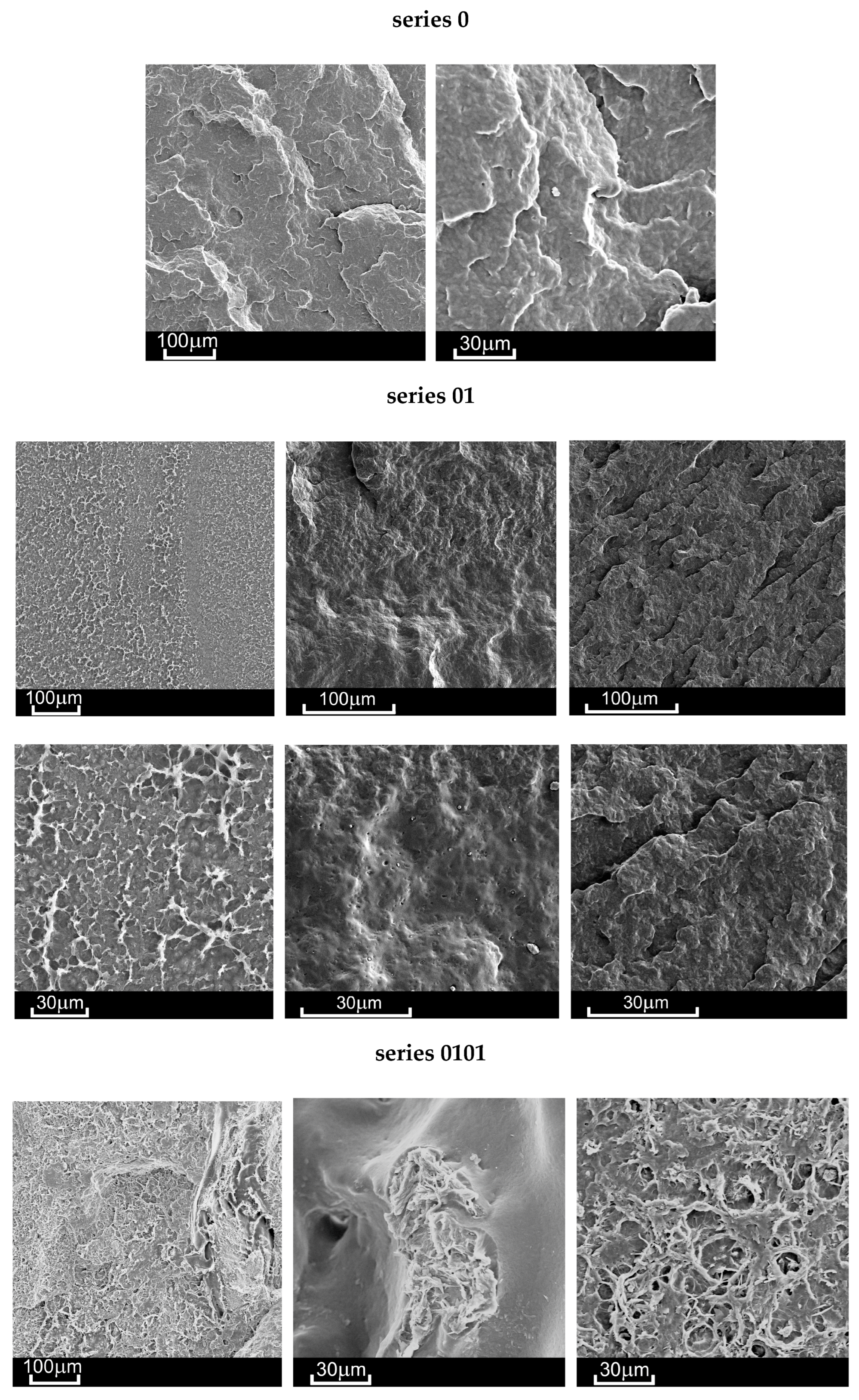 Materials 18 02664 g005a