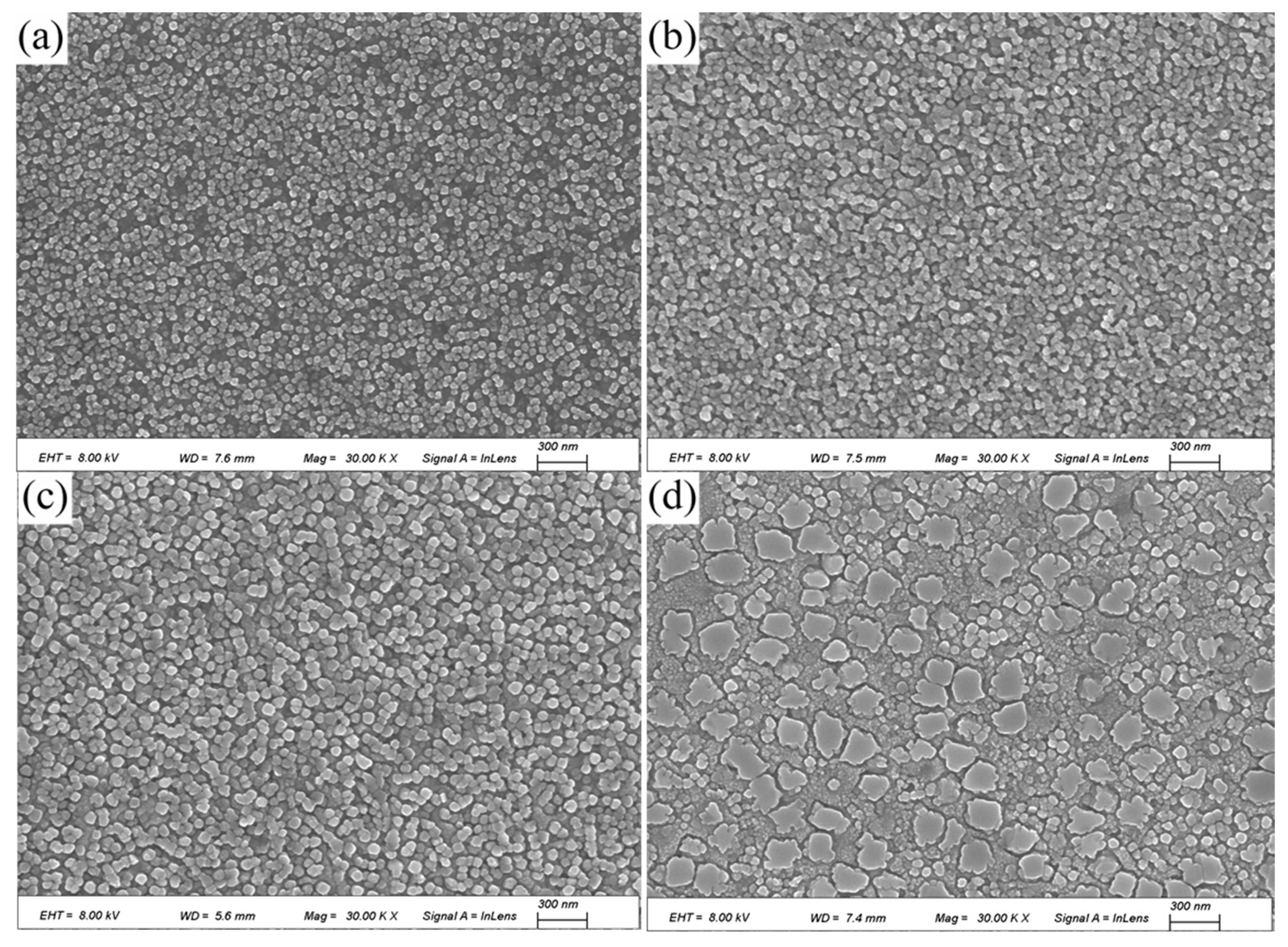 Materials 18 02678 g007