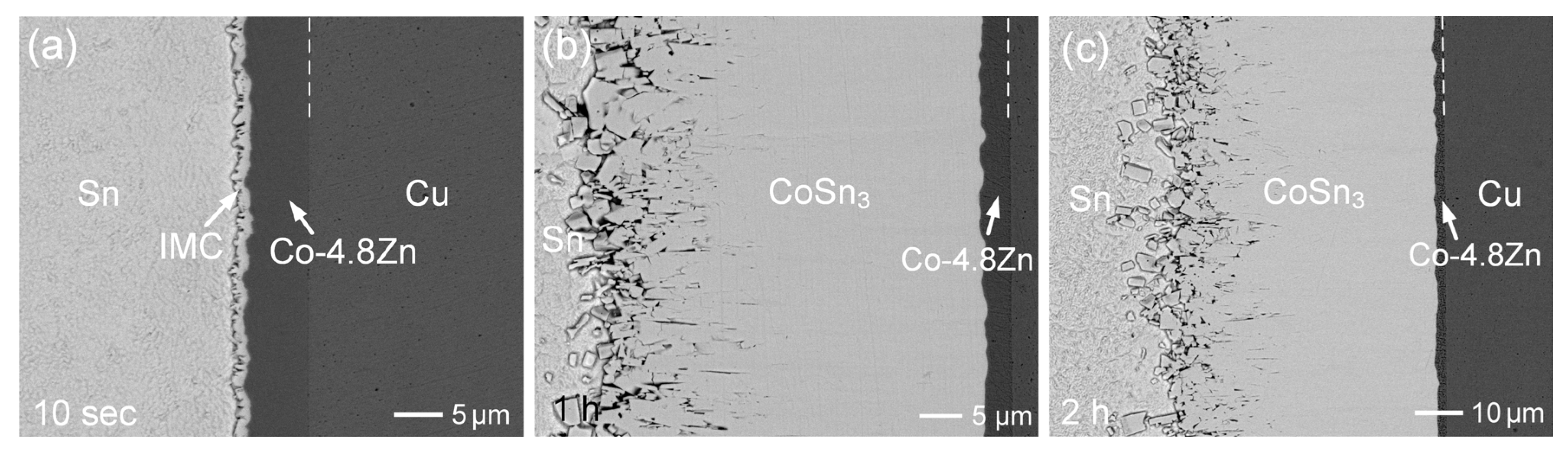 Materials 18 02680 g008