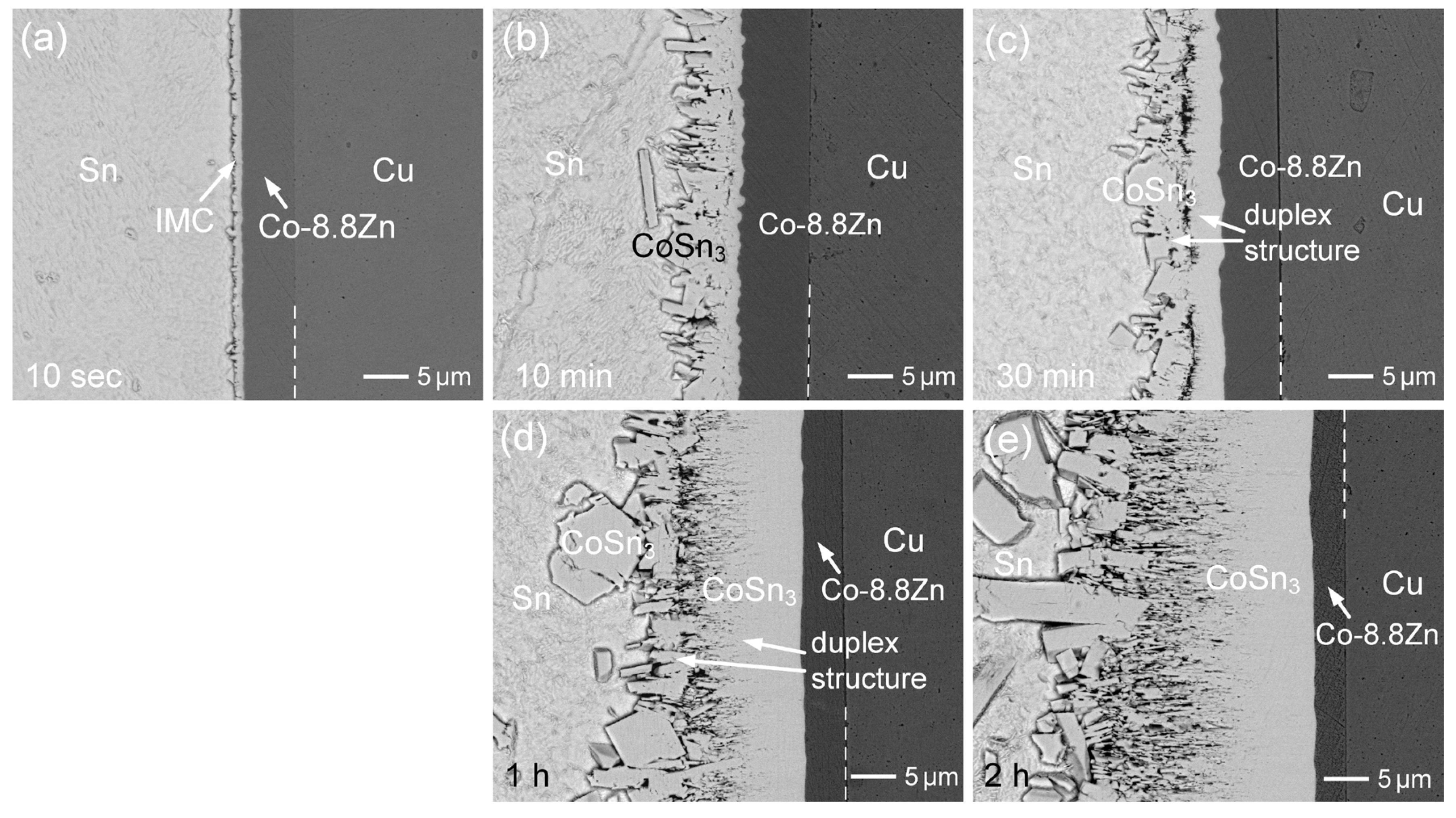Materials 18 02680 g009