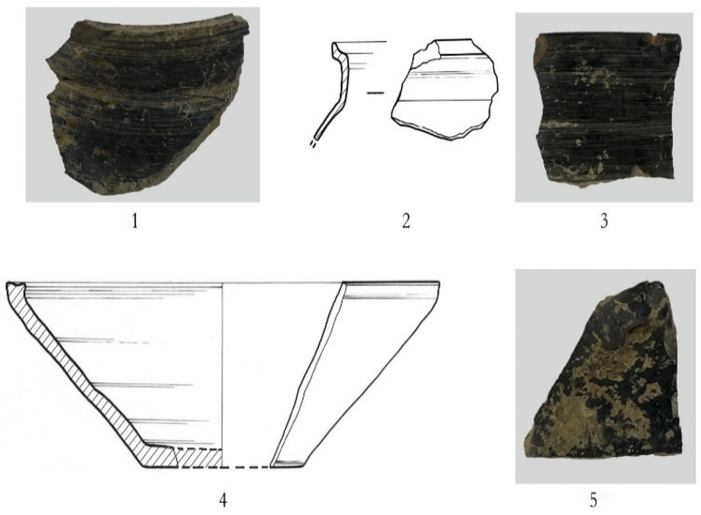 Materials 18 02681 g005