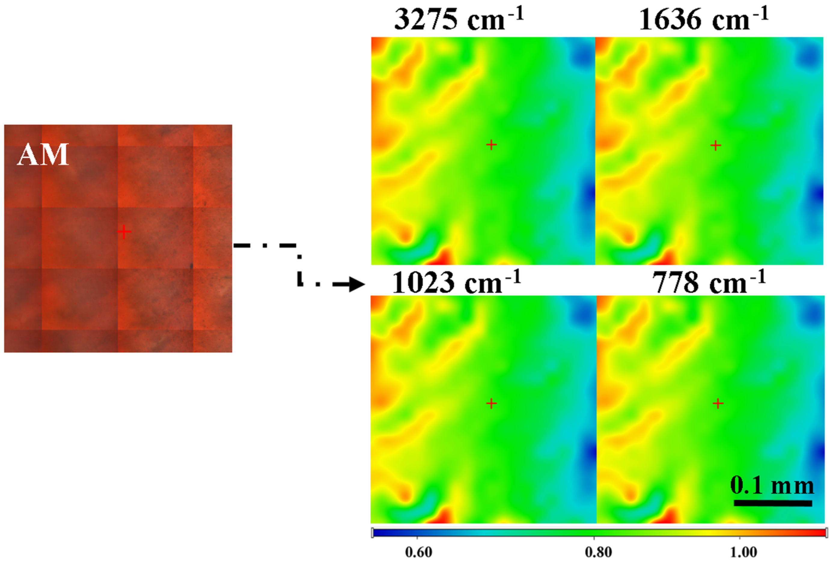 Materials 18 02689 g004