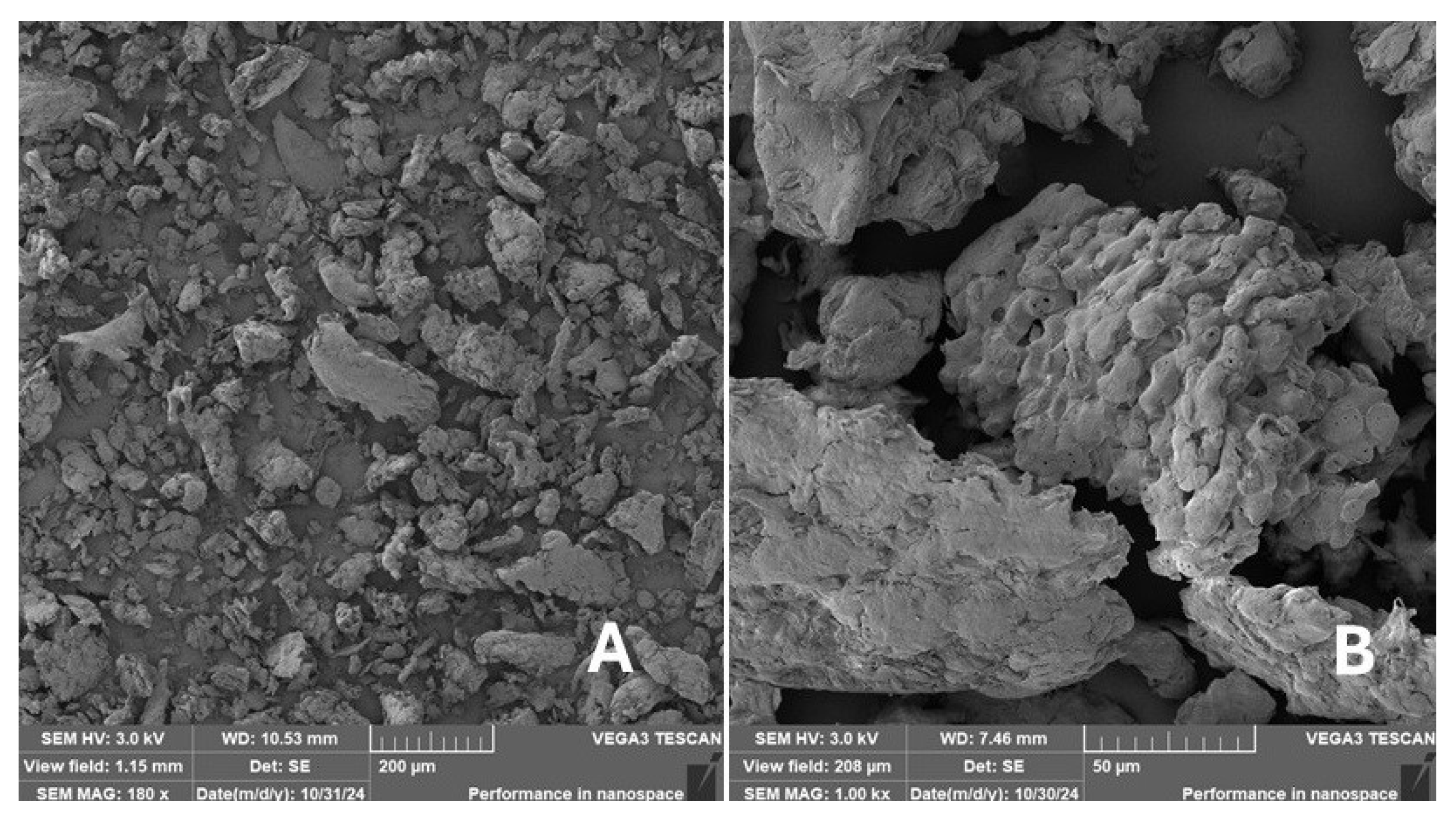 Materials 18 02699 g006 Materials 18 02699 g006