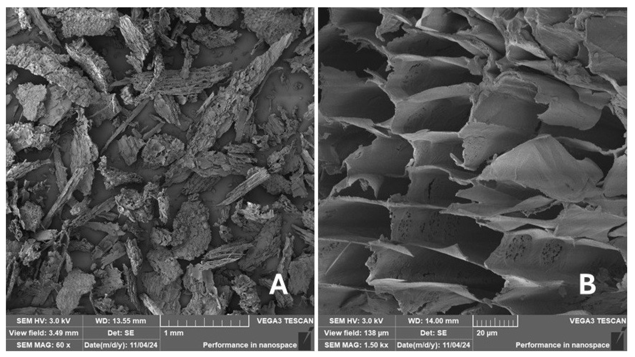 Materials 18 02699 g010 Materials 18 02699 g010