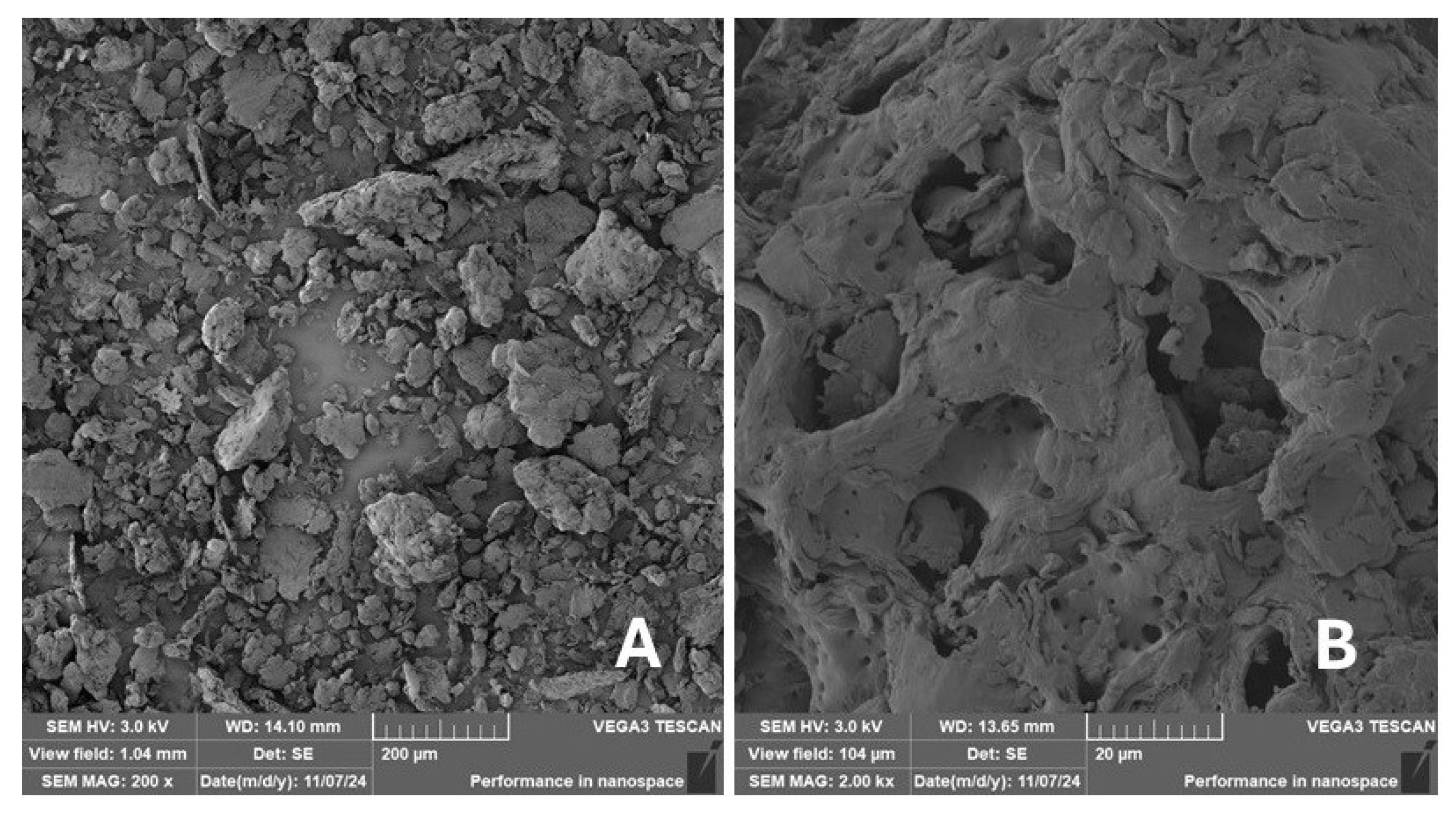 Materials 18 02699 g011 Materials 18 02699 g011