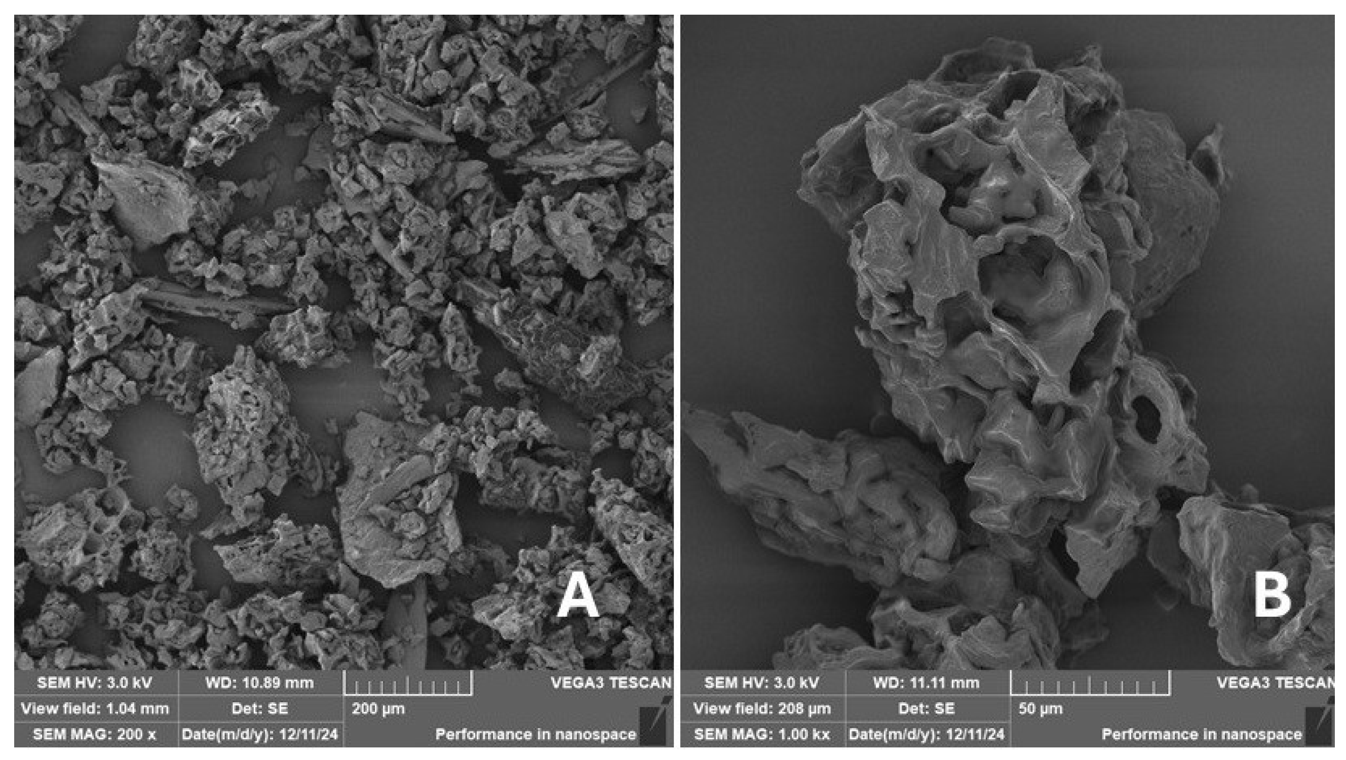 Materials 18 02699 g013 Materials 18 02699 g013