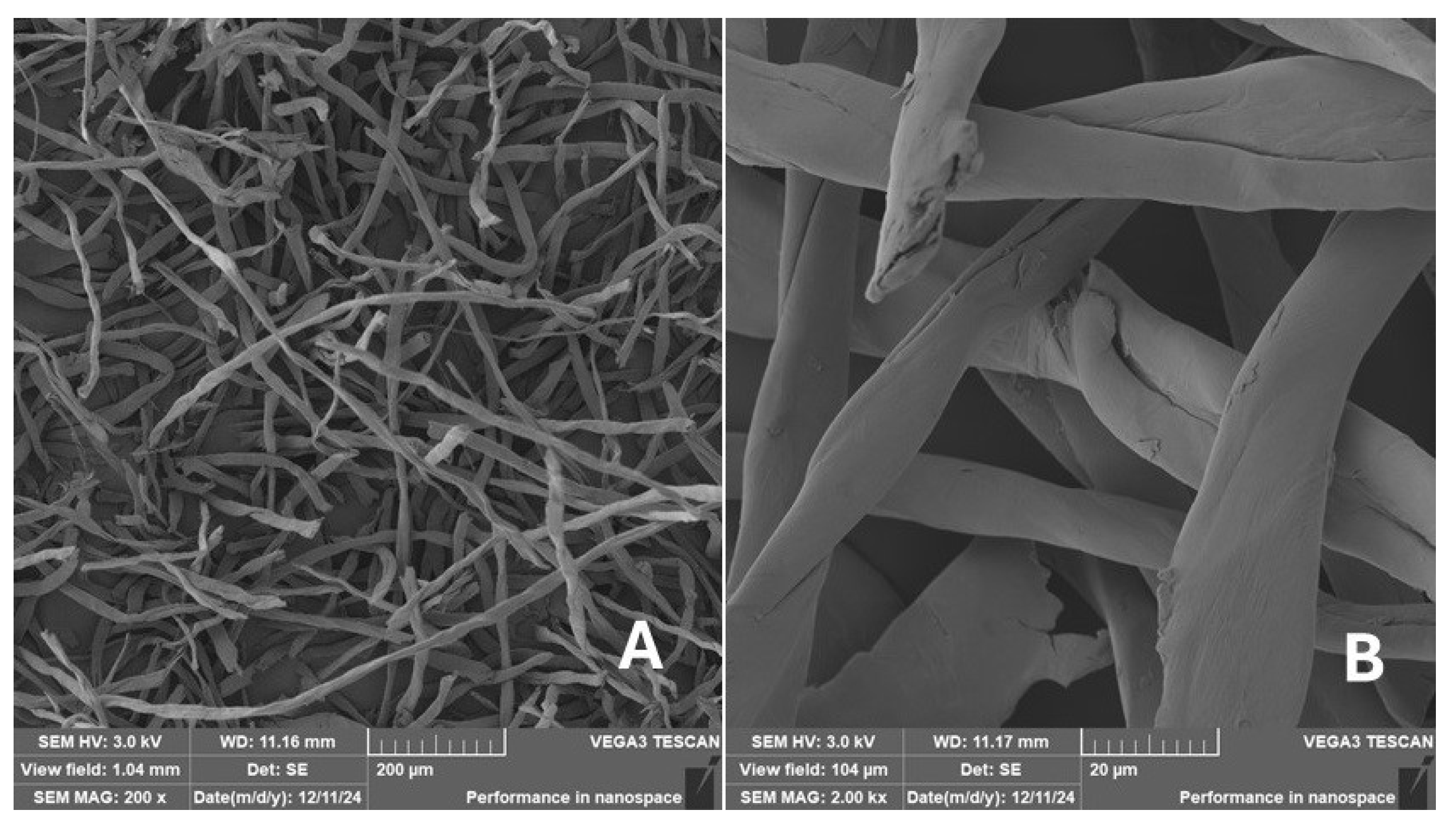 Materials 18 02699 g014 Materials 18 02699 g014