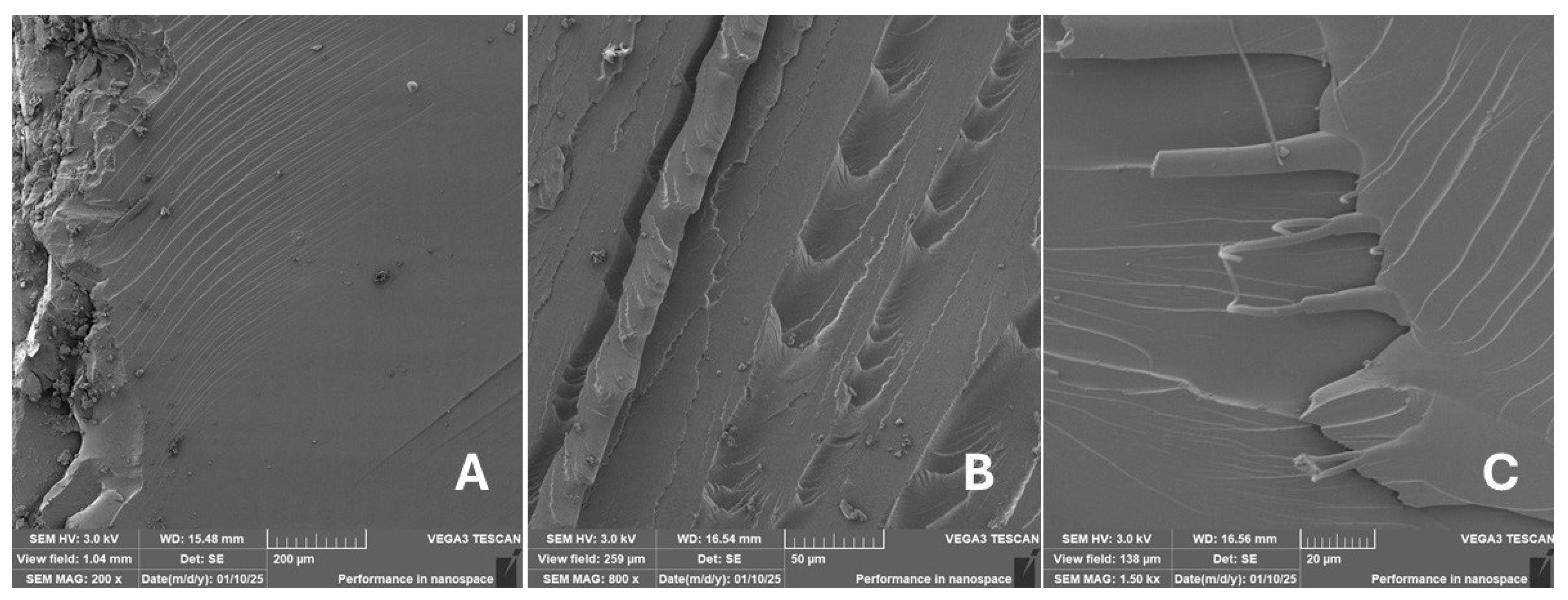 Materials 18 02699 g021 Materials 18 02699 g021