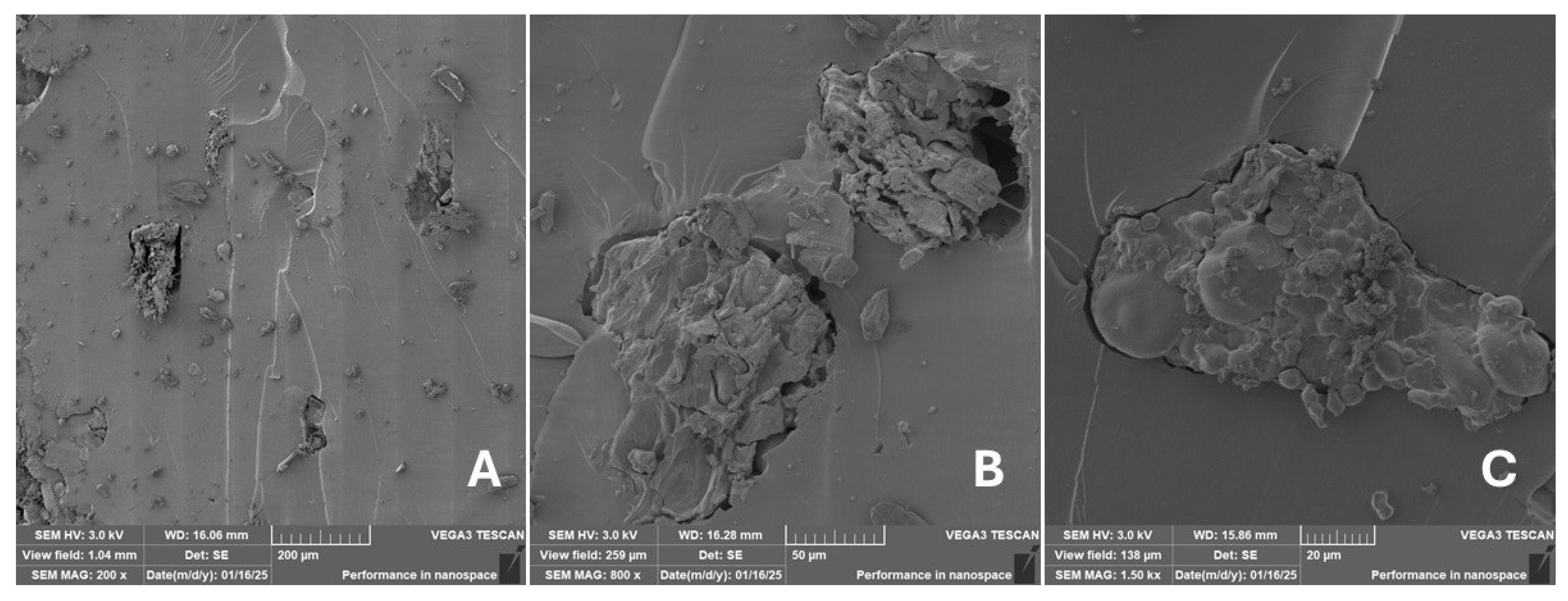 Materials 18 02699 g025 Materials 18 02699 g025