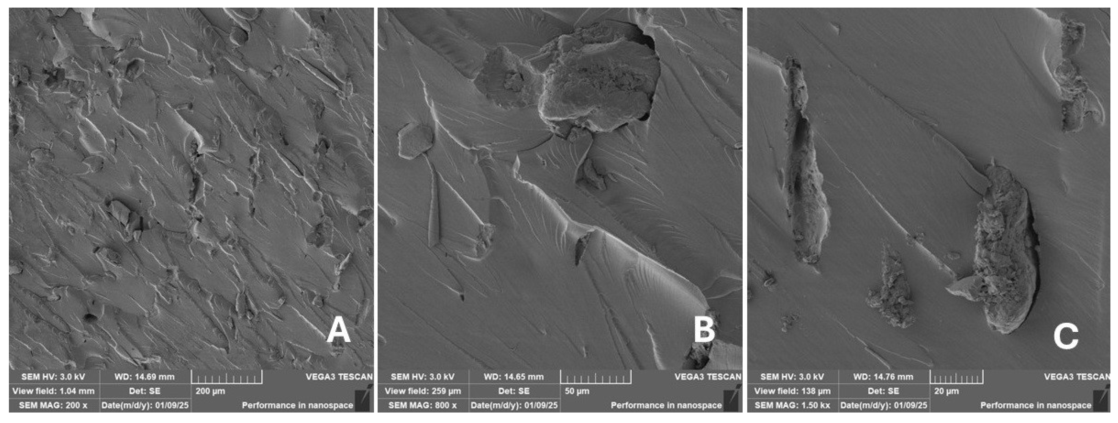 Materials 18 02699 g026 Materials 18 02699 g026