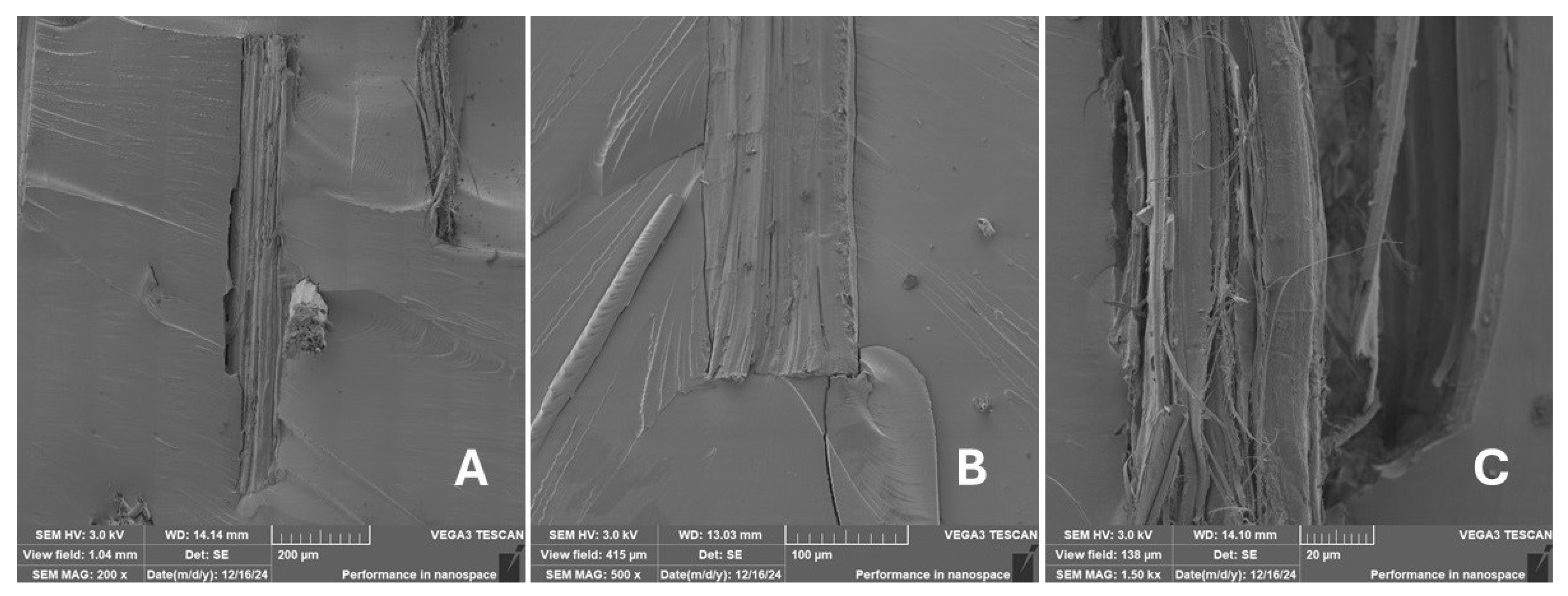 Materials 18 02699 g027 Materials 18 02699 g027