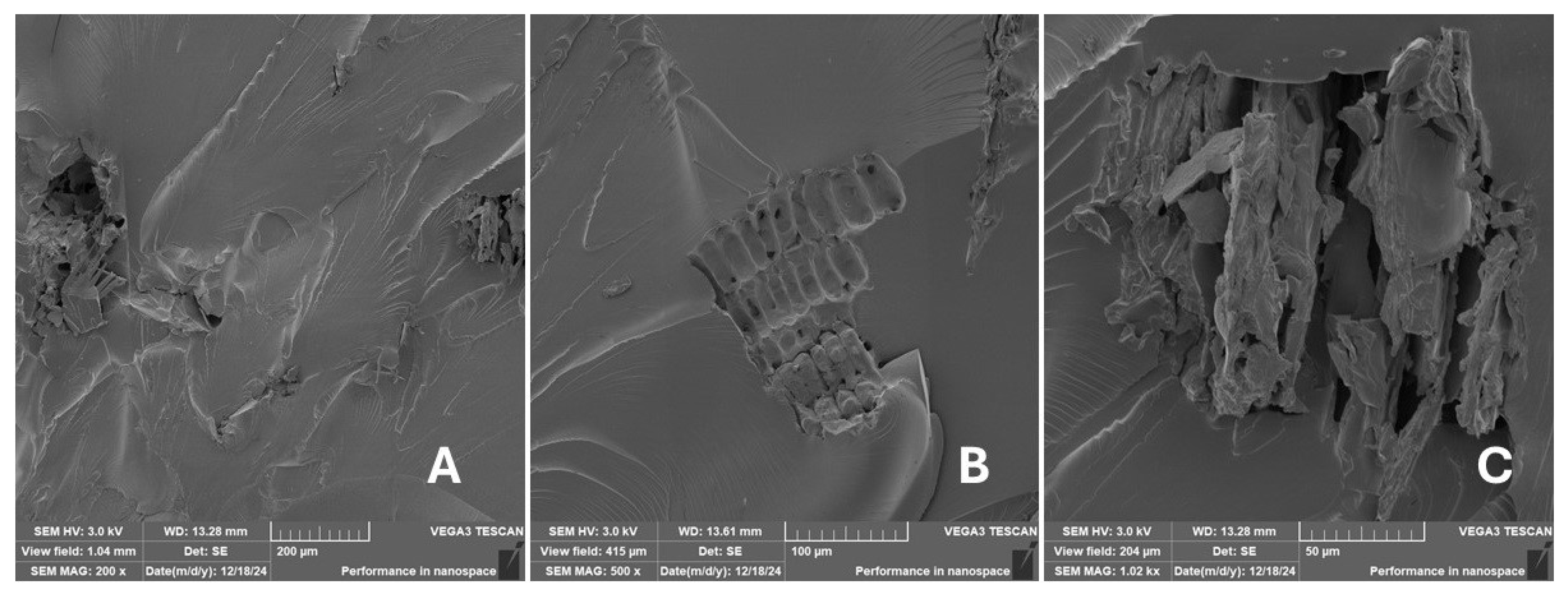 Materials 18 02699 g028 Materials 18 02699 g028