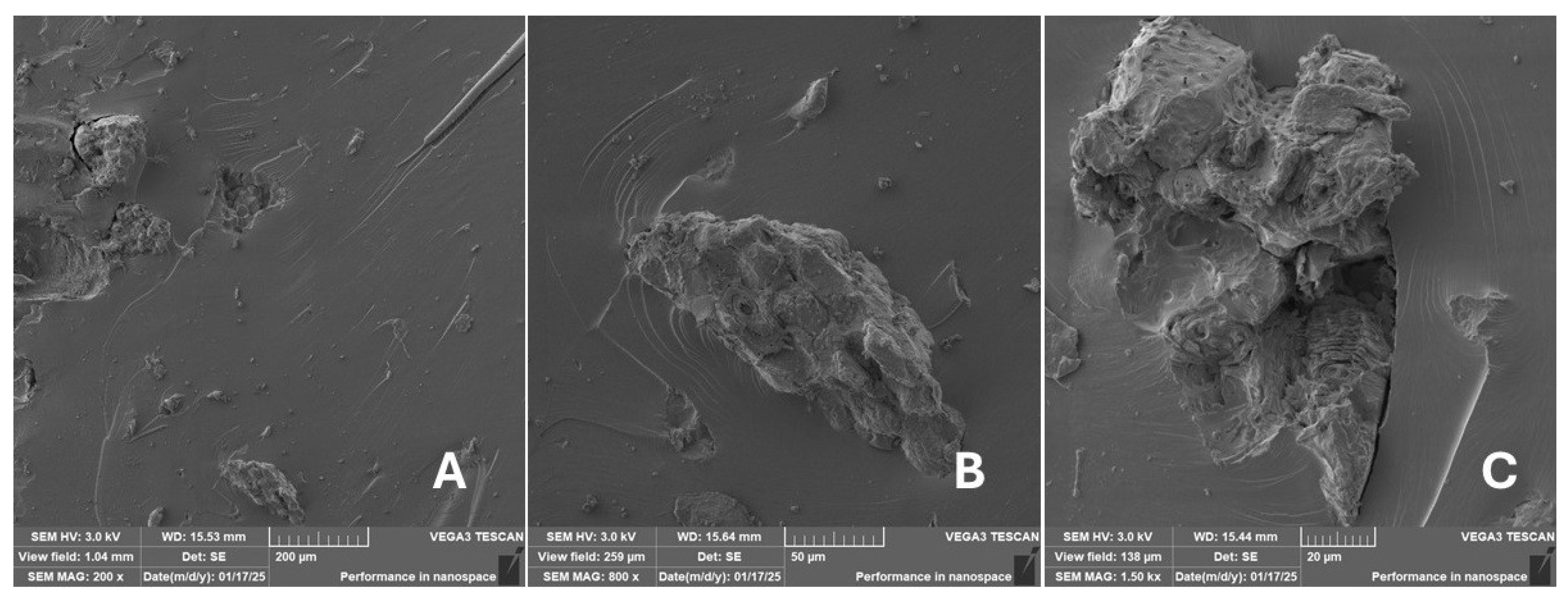 Materials 18 02699 g029 Materials 18 02699 g029