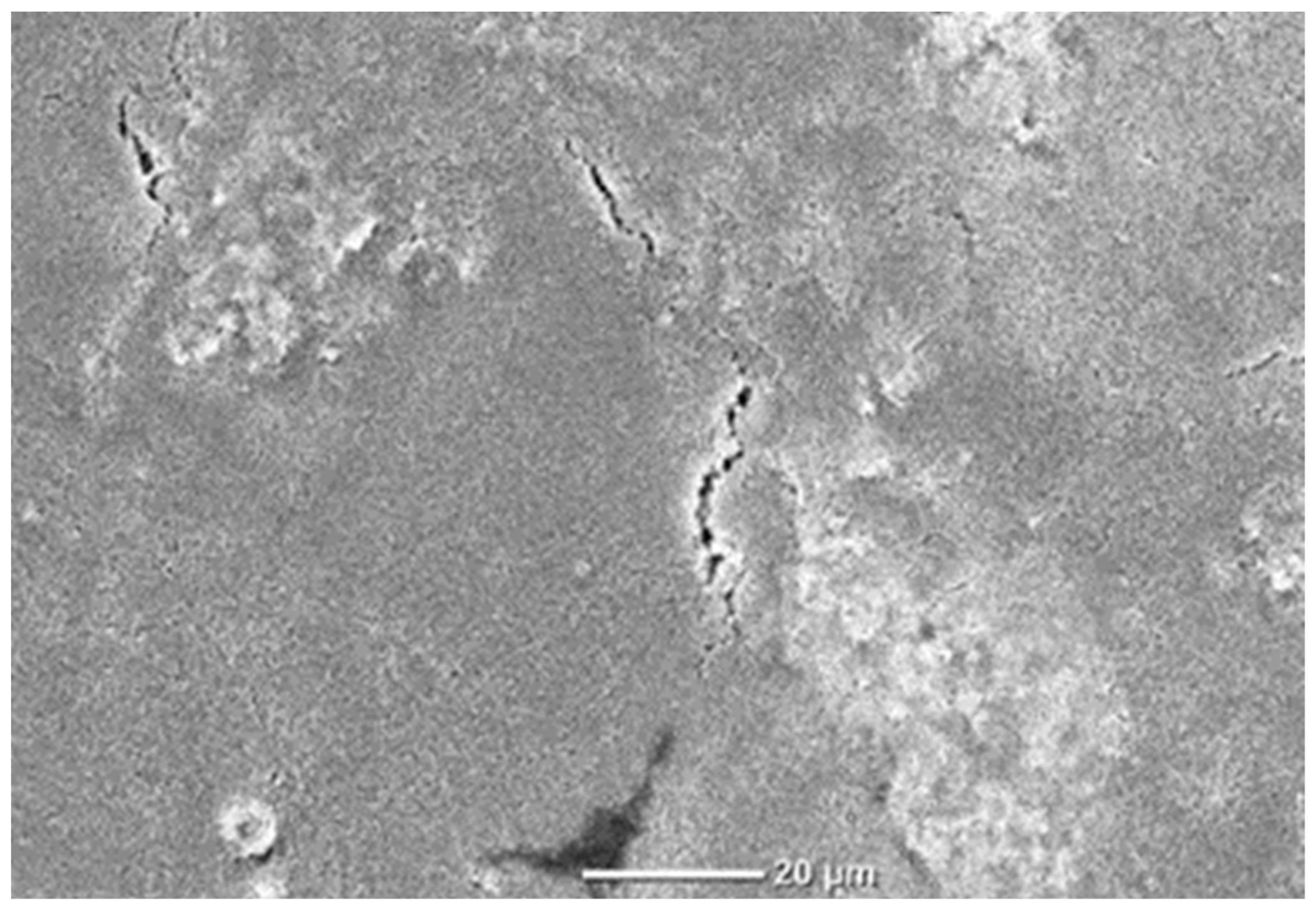 Materials 18 02708 g006