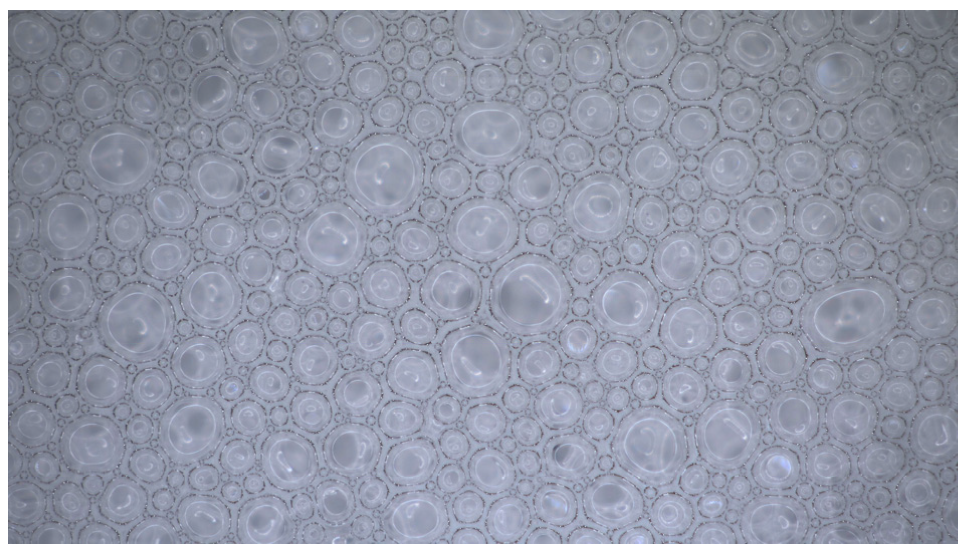 Materials 18 02716 g002