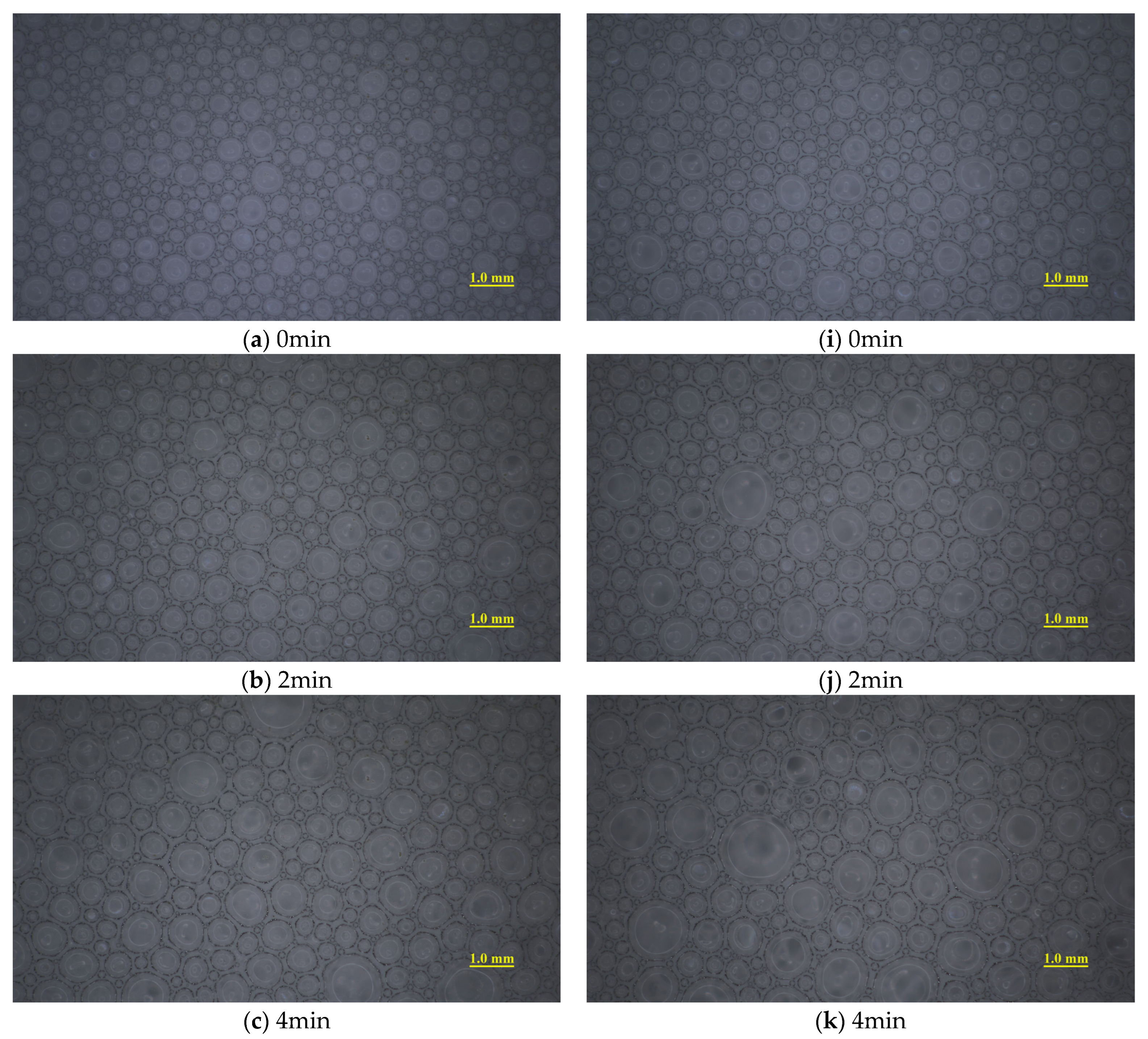 Materials 18 02716 g005a