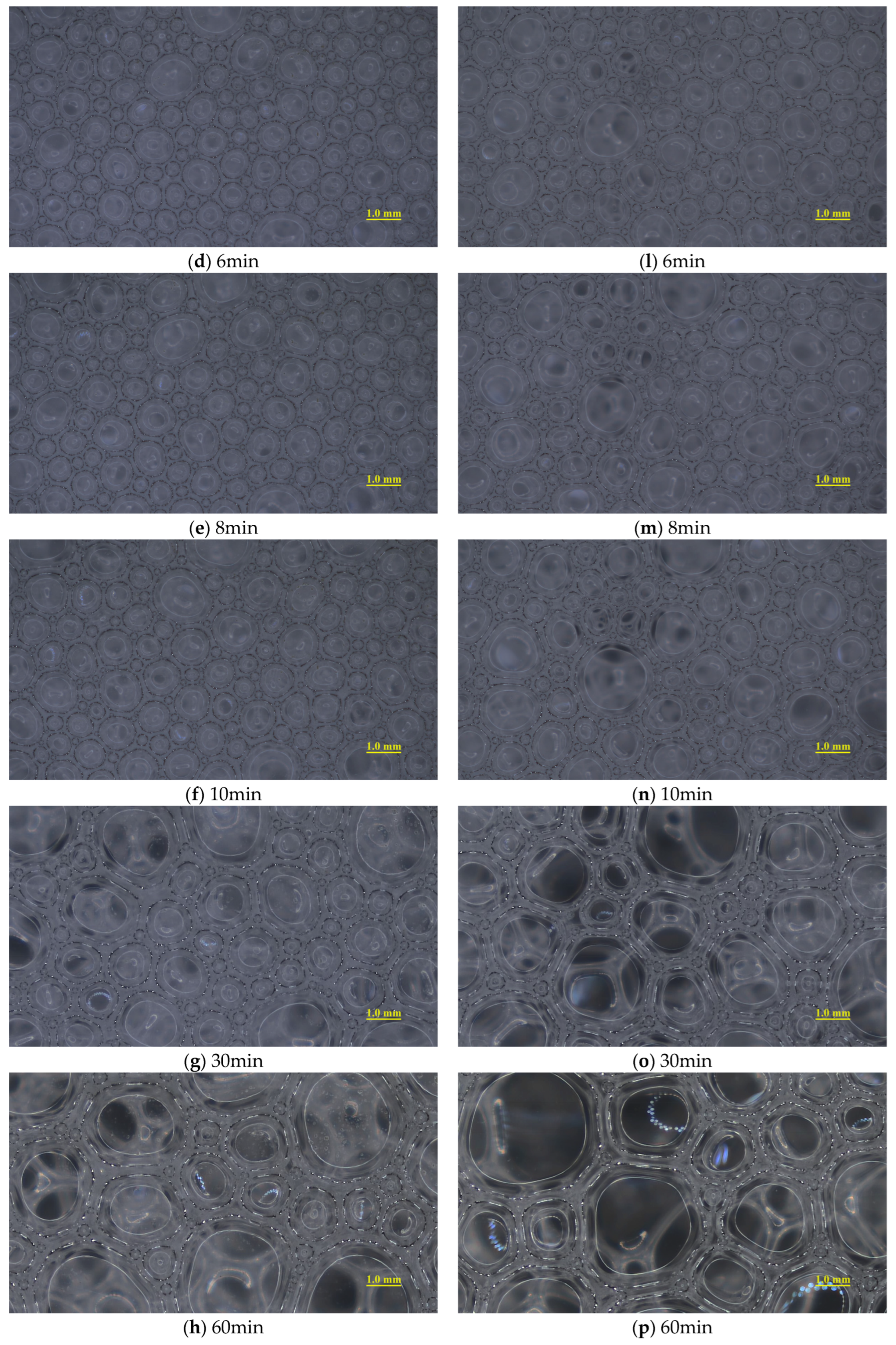 Materials 18 02716 g005b