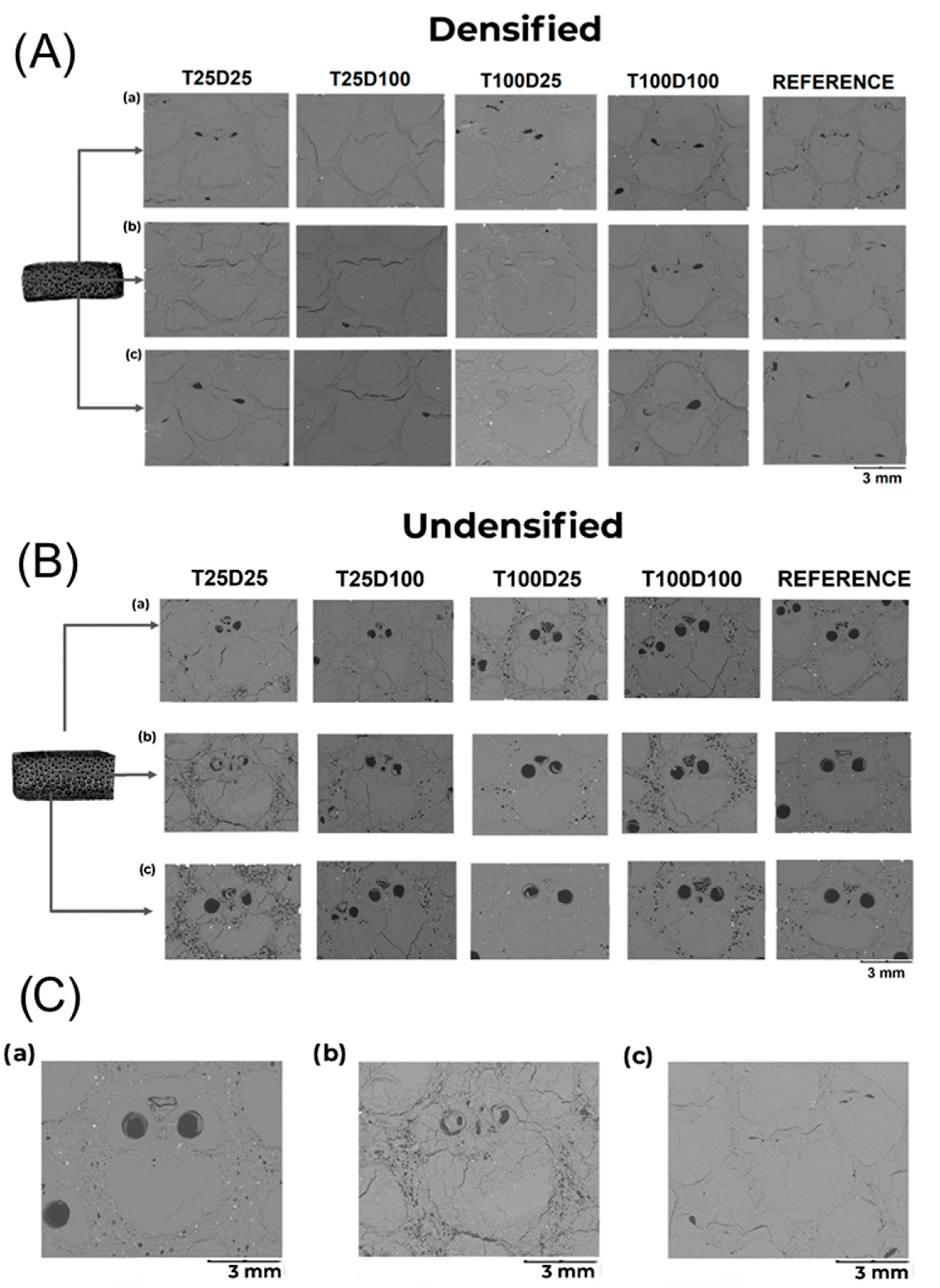 Materials 18 02719 g005