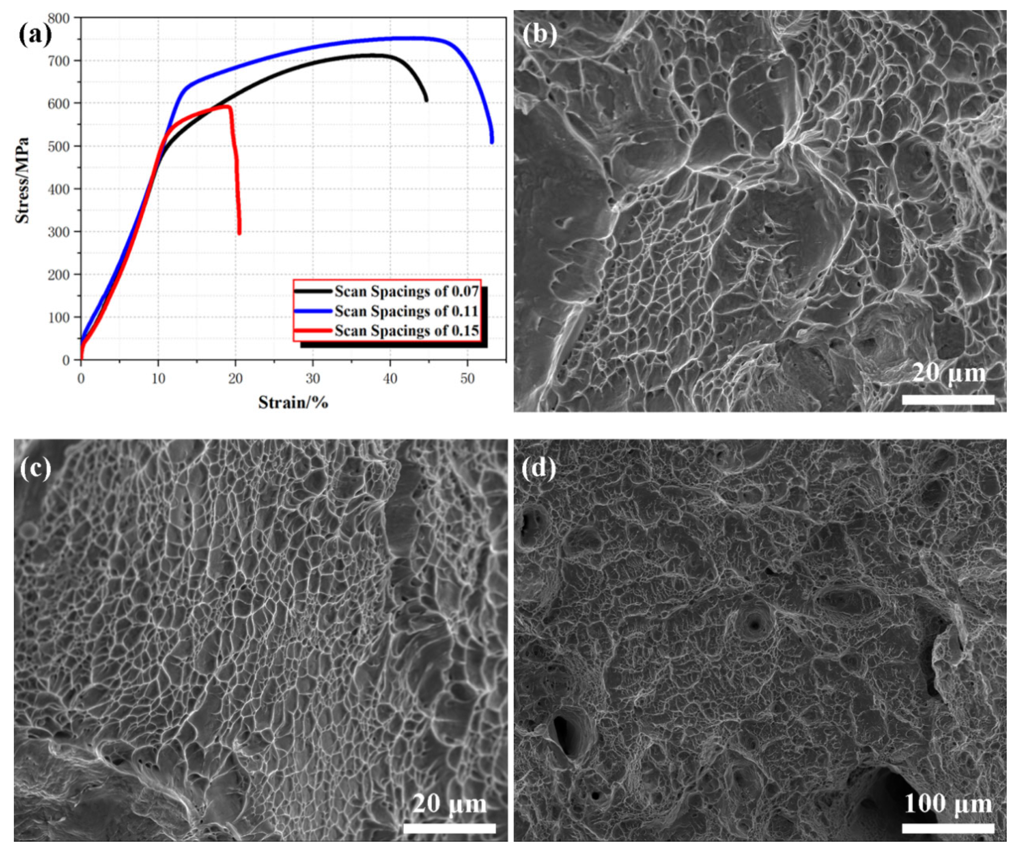 Materials 18 02720 g007